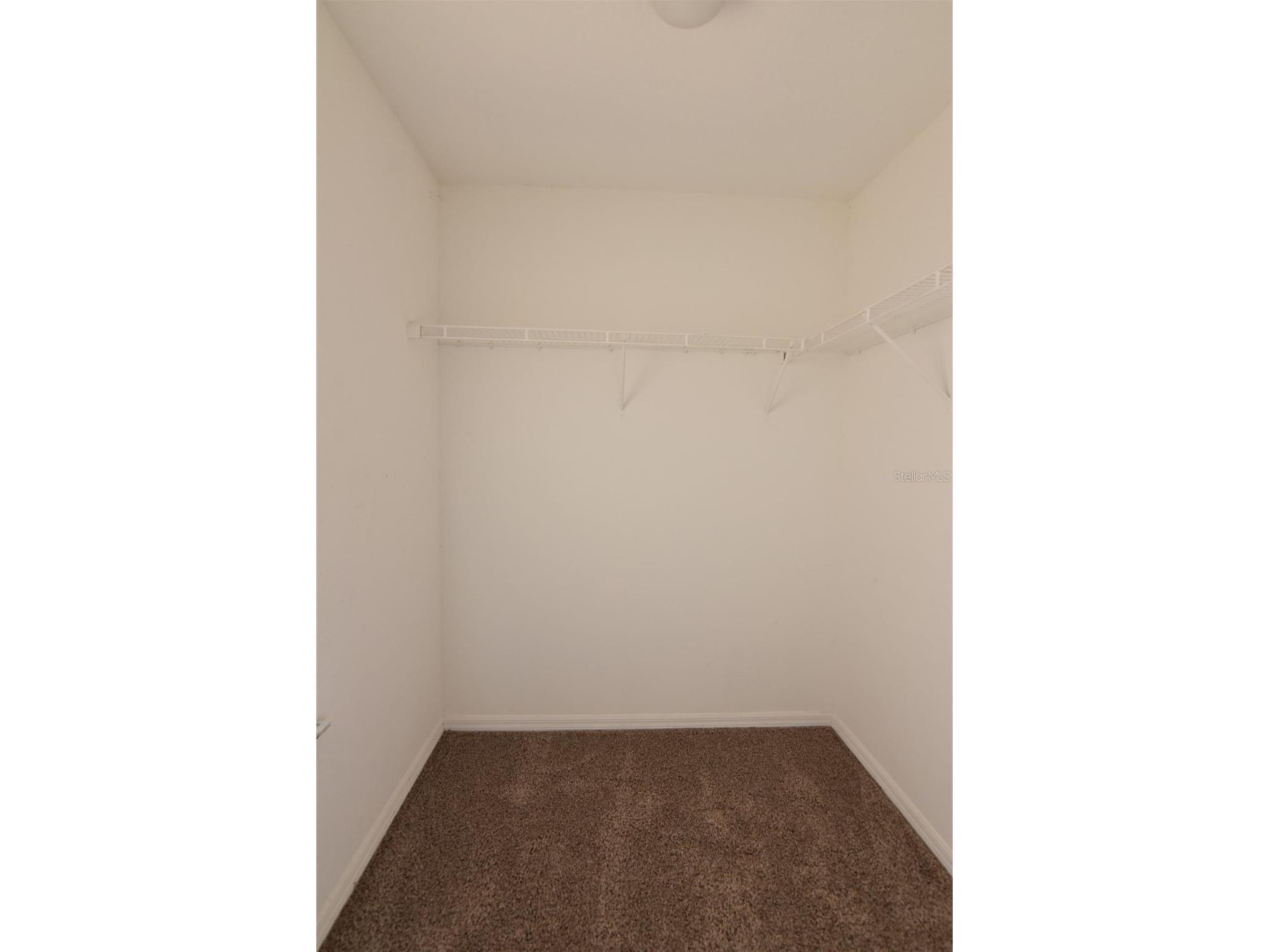 1066 Dolphin Drive Winter Garden FL 34787 O6407929 image16