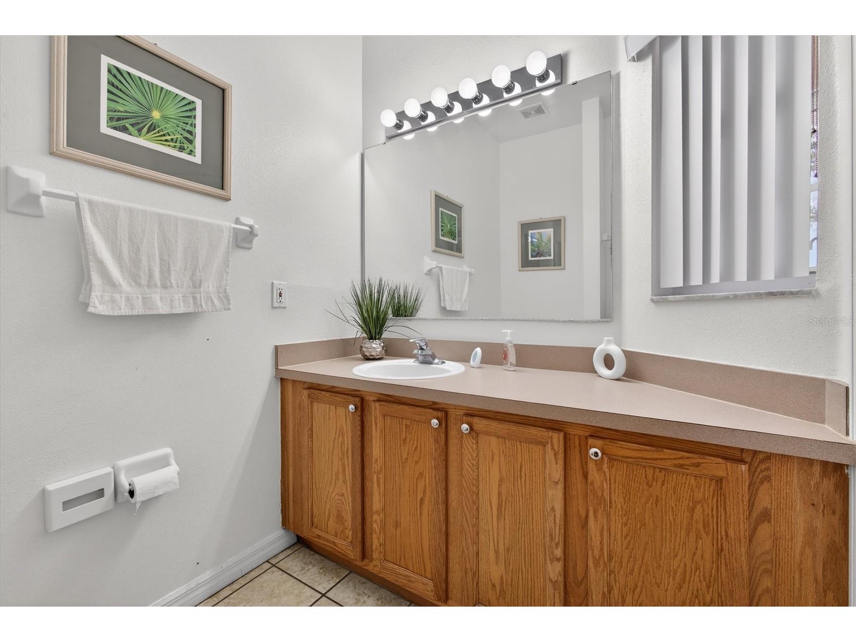 1066 Park Ridge Circle Kissimmee FL 34746 O6389477 image29