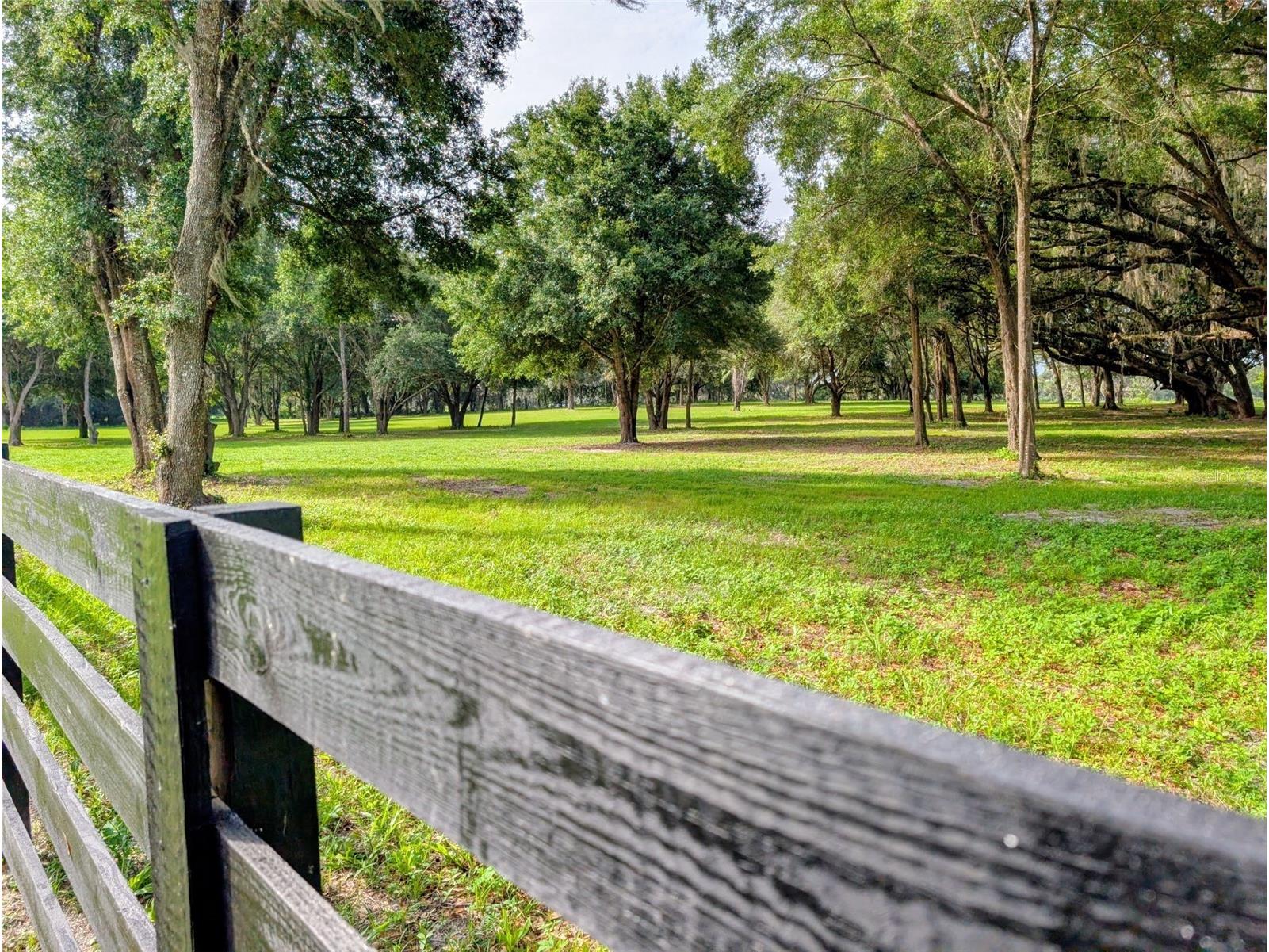 10660 E Bushnell Road Floral City FL 34436 TB8514818 image5