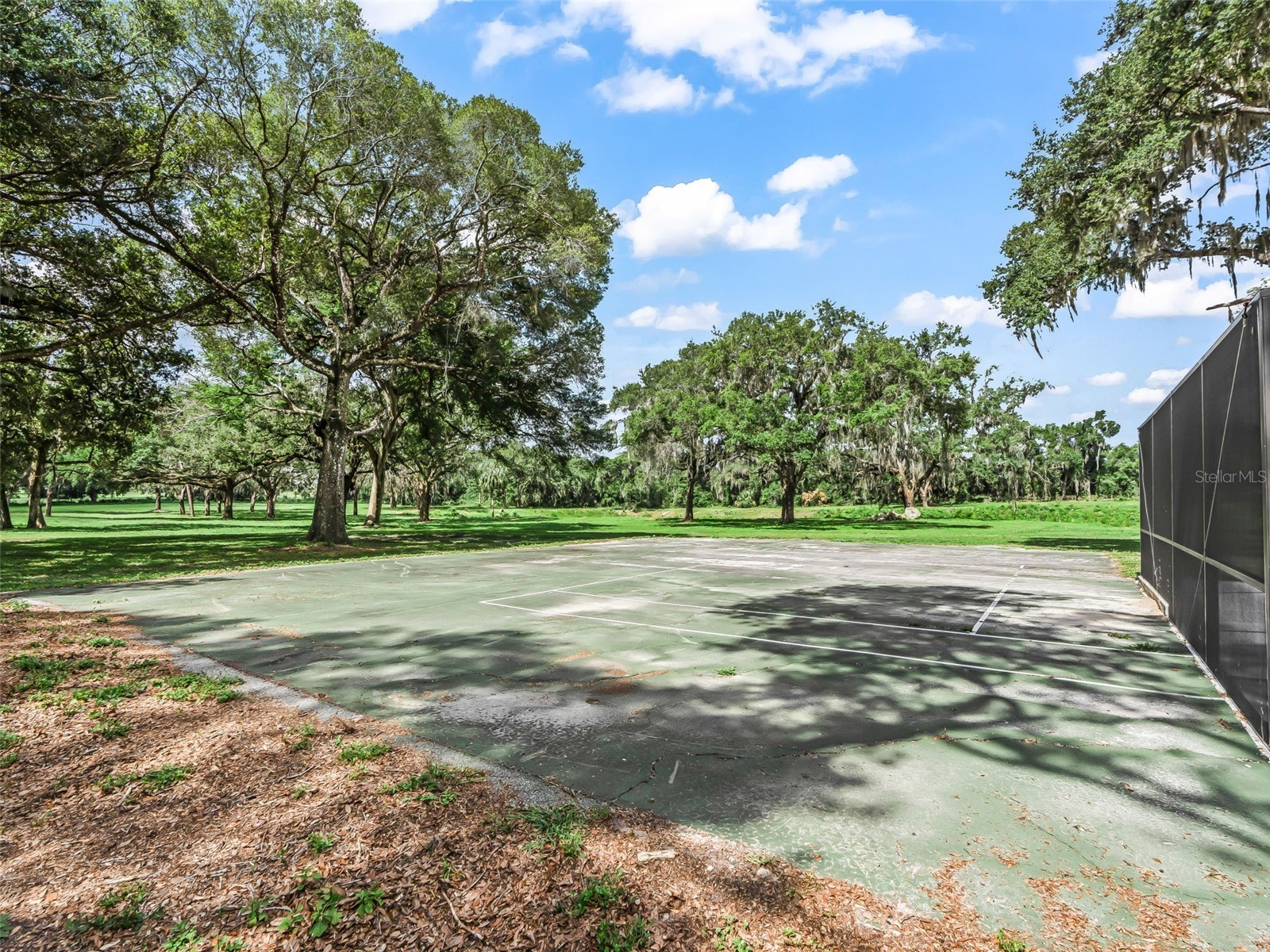 10660 E Bushnell Road Floral City FL 34436 TB8514818 image60