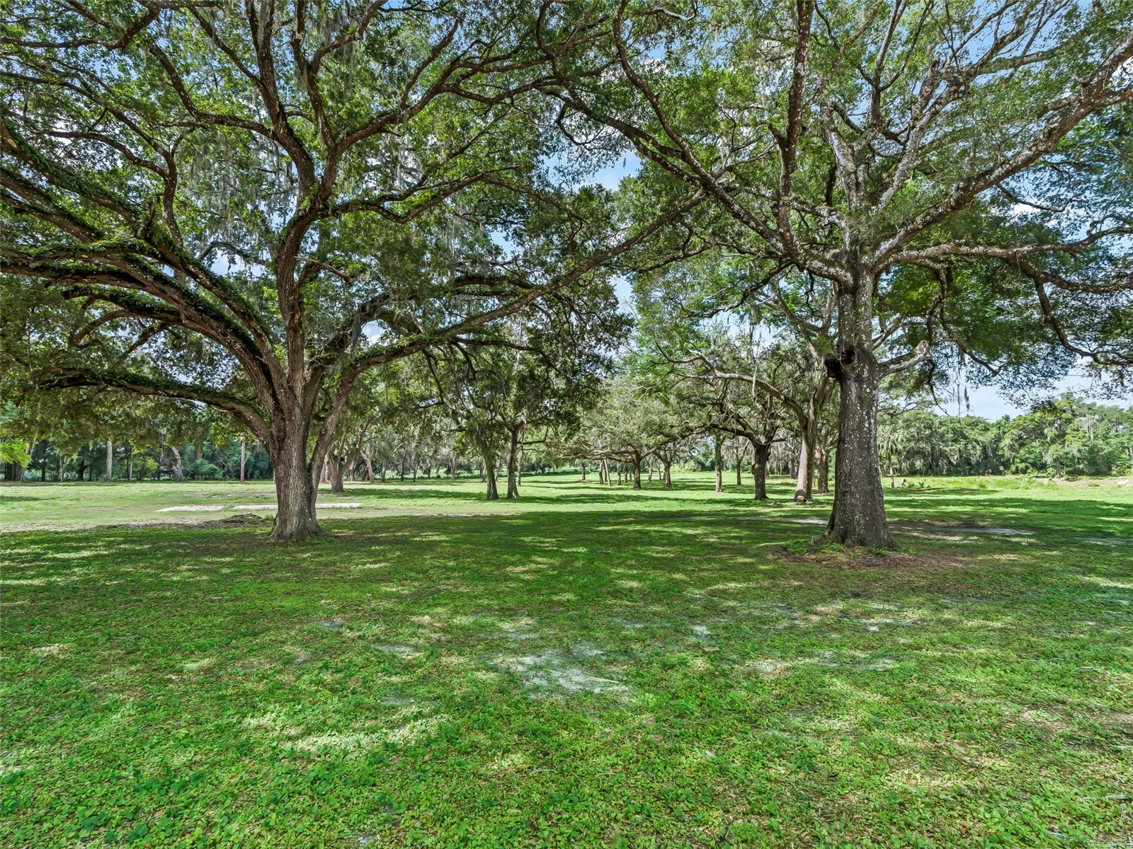 10660 E Bushnell Road Floral City FL 34436 TB8514818 image61