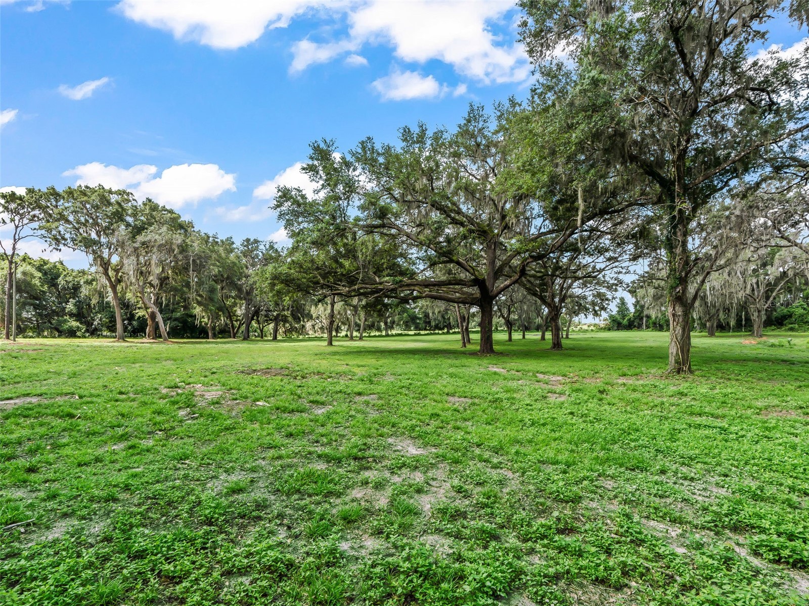 10660 E Bushnell Road Floral City FL 34436 TB8514818 image63