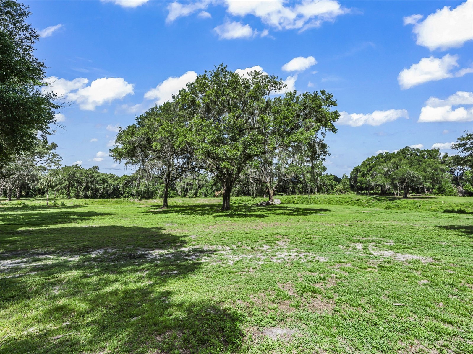 10660 E Bushnell Road Floral City FL 34436 TB8514818 image67