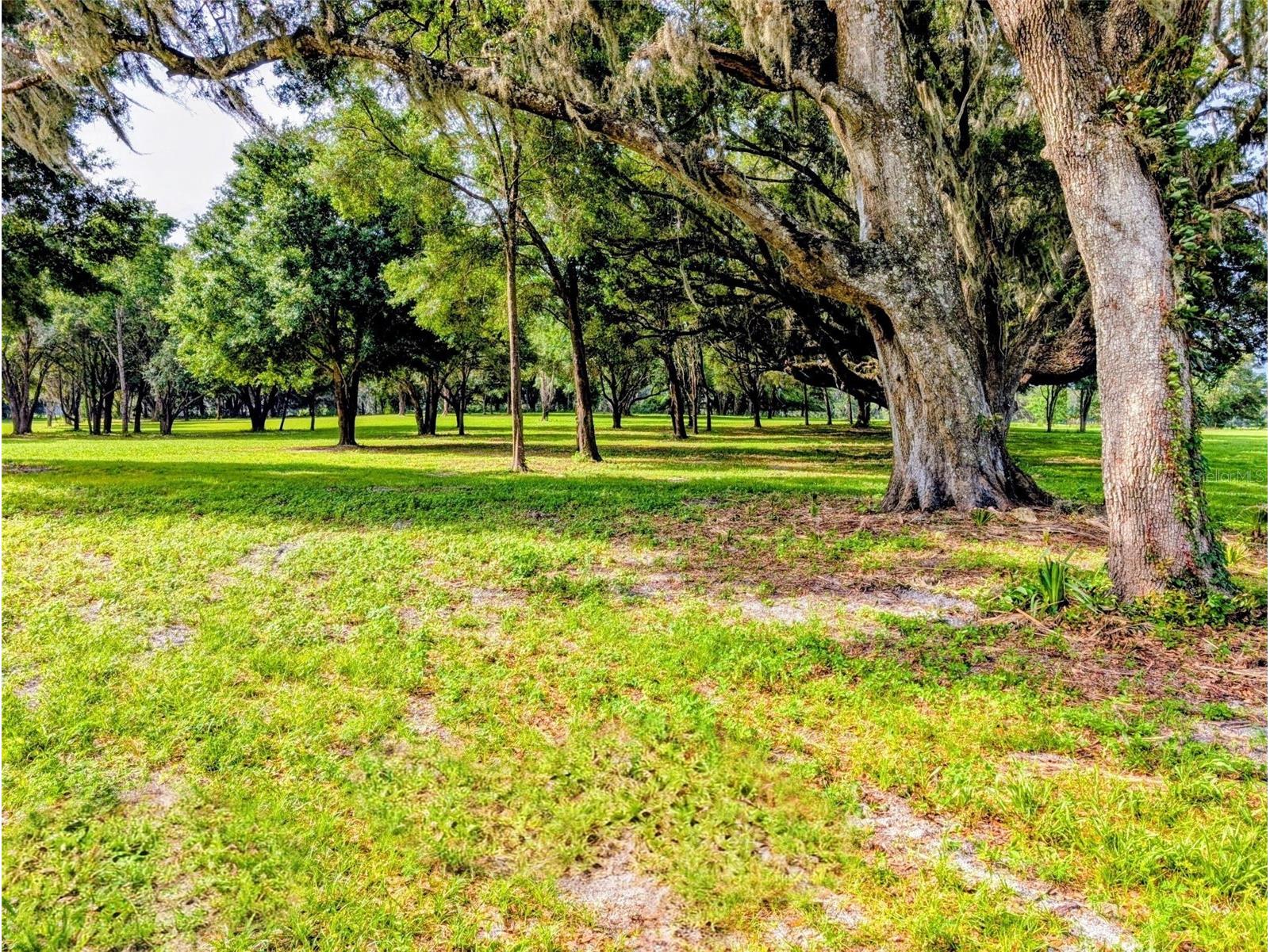 10660 E Bushnell Road Floral City FL 34436 TB8514818 image68