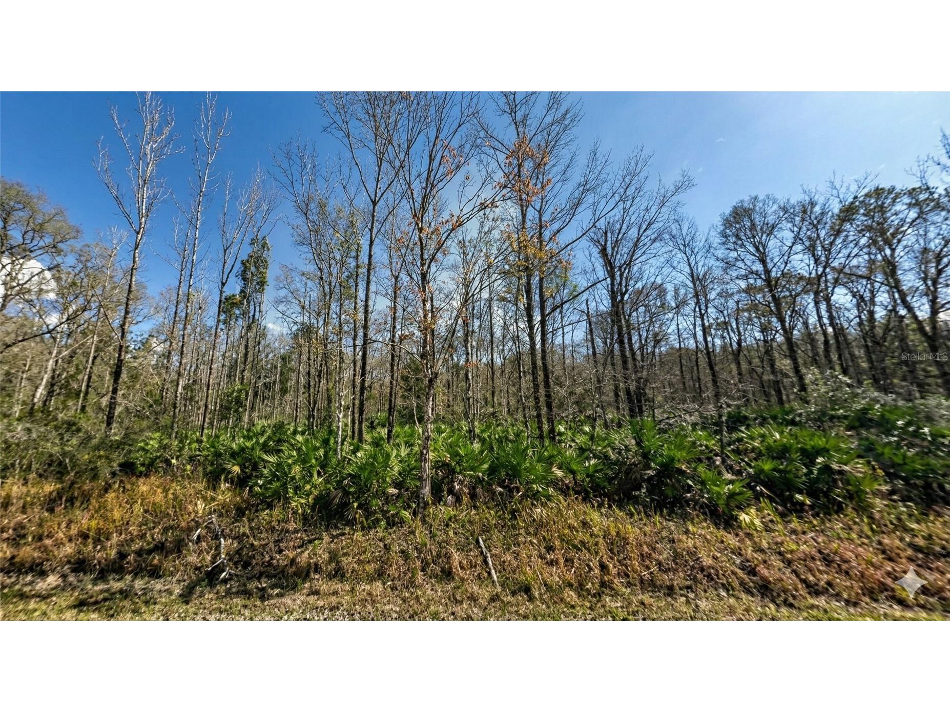 10660 Turpin Avenue Hastings FL 32145 OM719633 image1