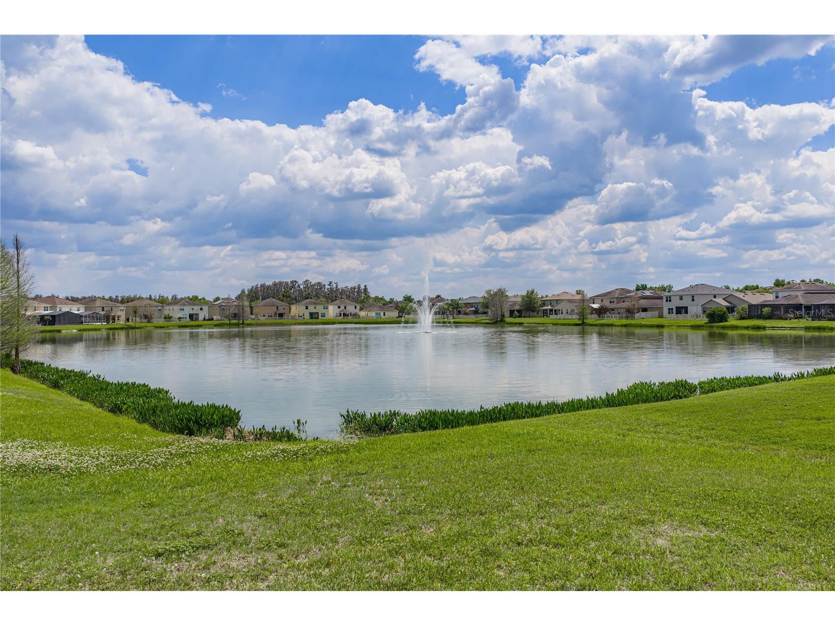 10661 Pictorial Park Drive Tampa FL 33647 L4960550 image39