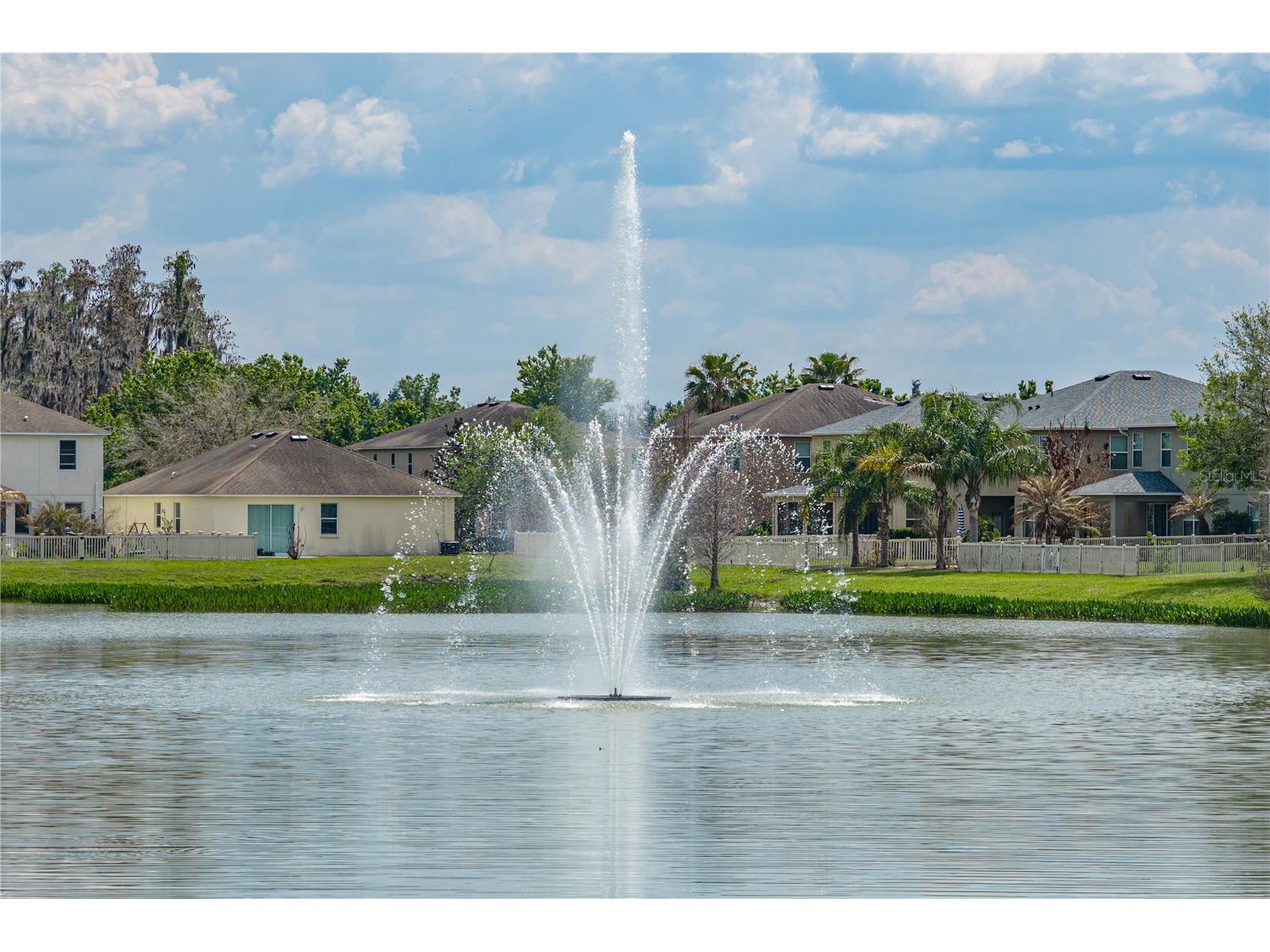 10661 Pictorial Park Drive Tampa FL 33647 L4960550 image41