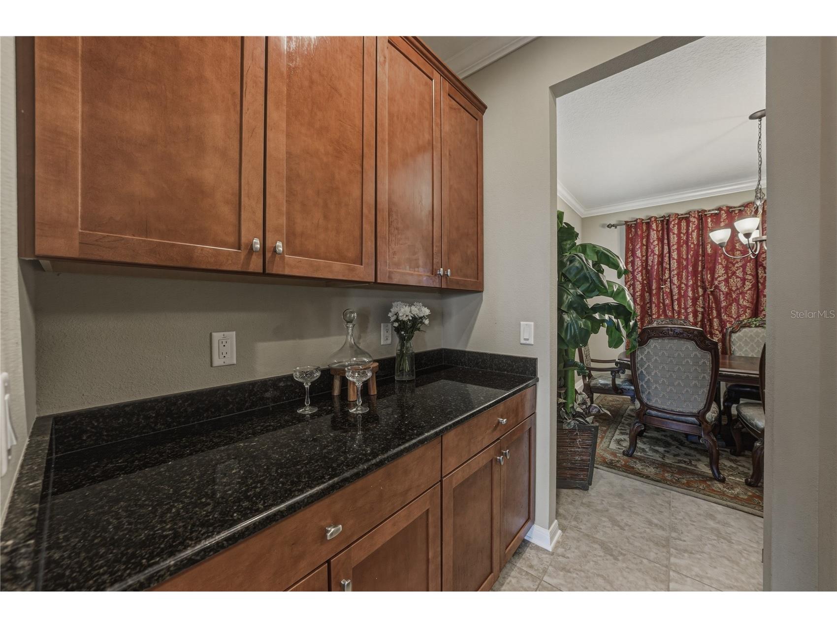 10661 Pictorial Park Drive Tampa FL 33647 L4960550 image7