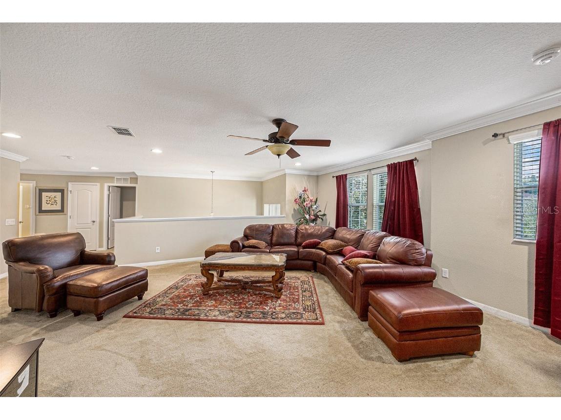 10661 Pictorial Park Drive Tampa FL 33647 TB8442185 image15