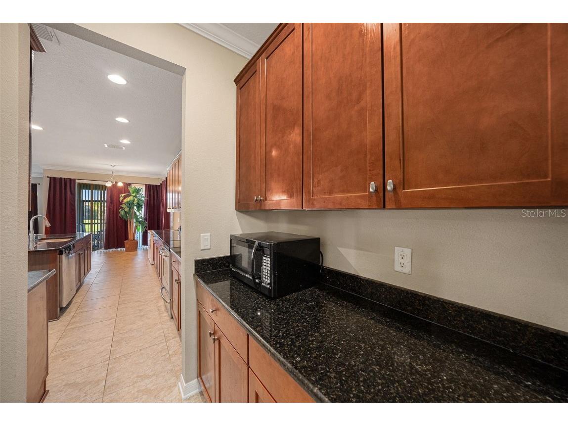 10661 Pictorial Park Drive Tampa FL 33647 TB8442185 image6