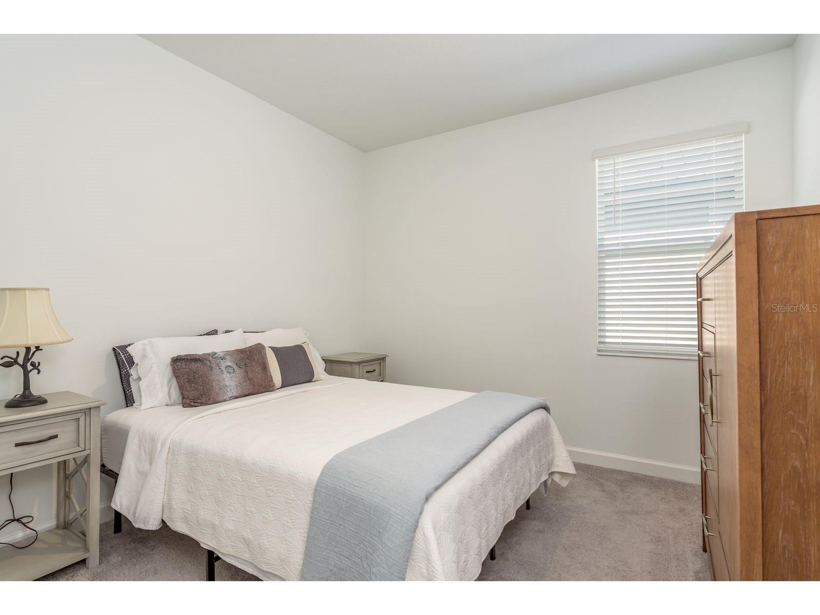 10661 Tupper Cay Drive San Antonio FL 33576 TB8472650 image25