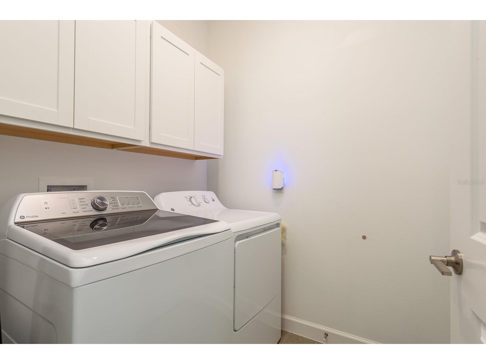 10661 Tupper Cay Drive San Antonio FL 33576 TB8472650 image29