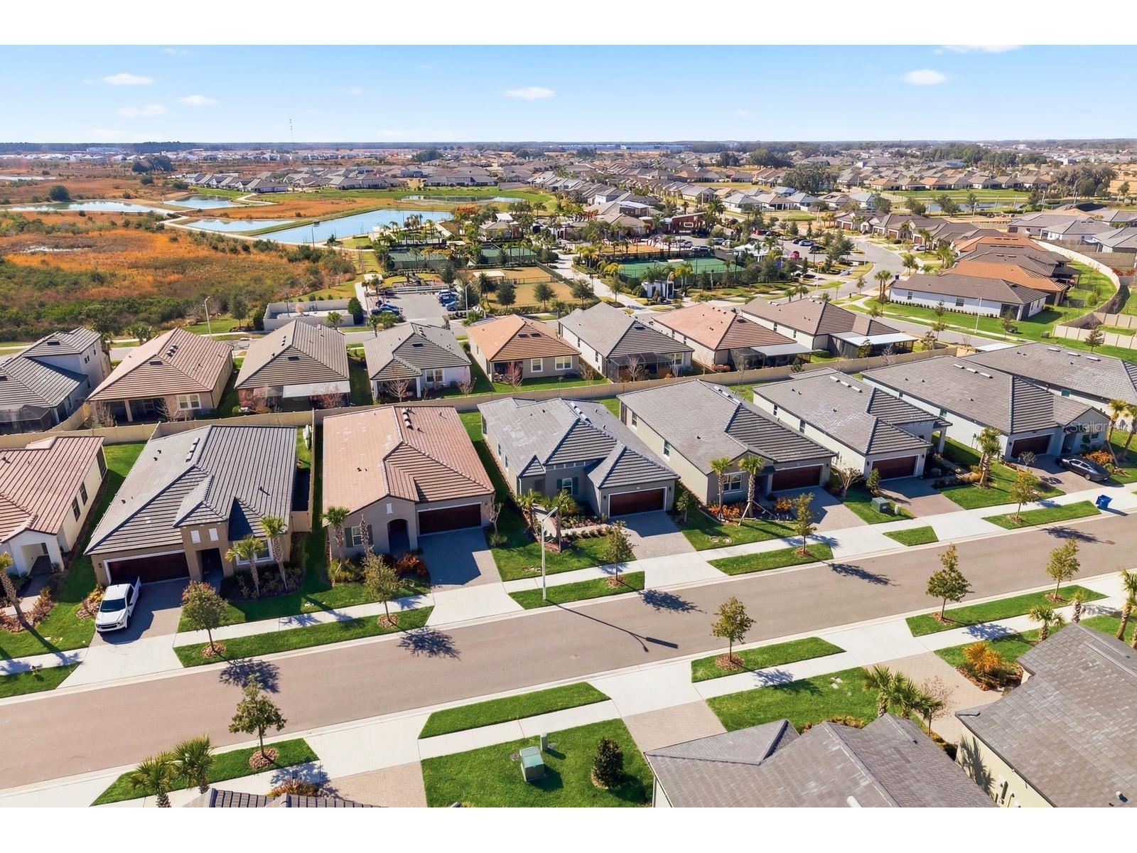 10661 Tupper Cay Drive San Antonio FL 33576 TB8472650 image34