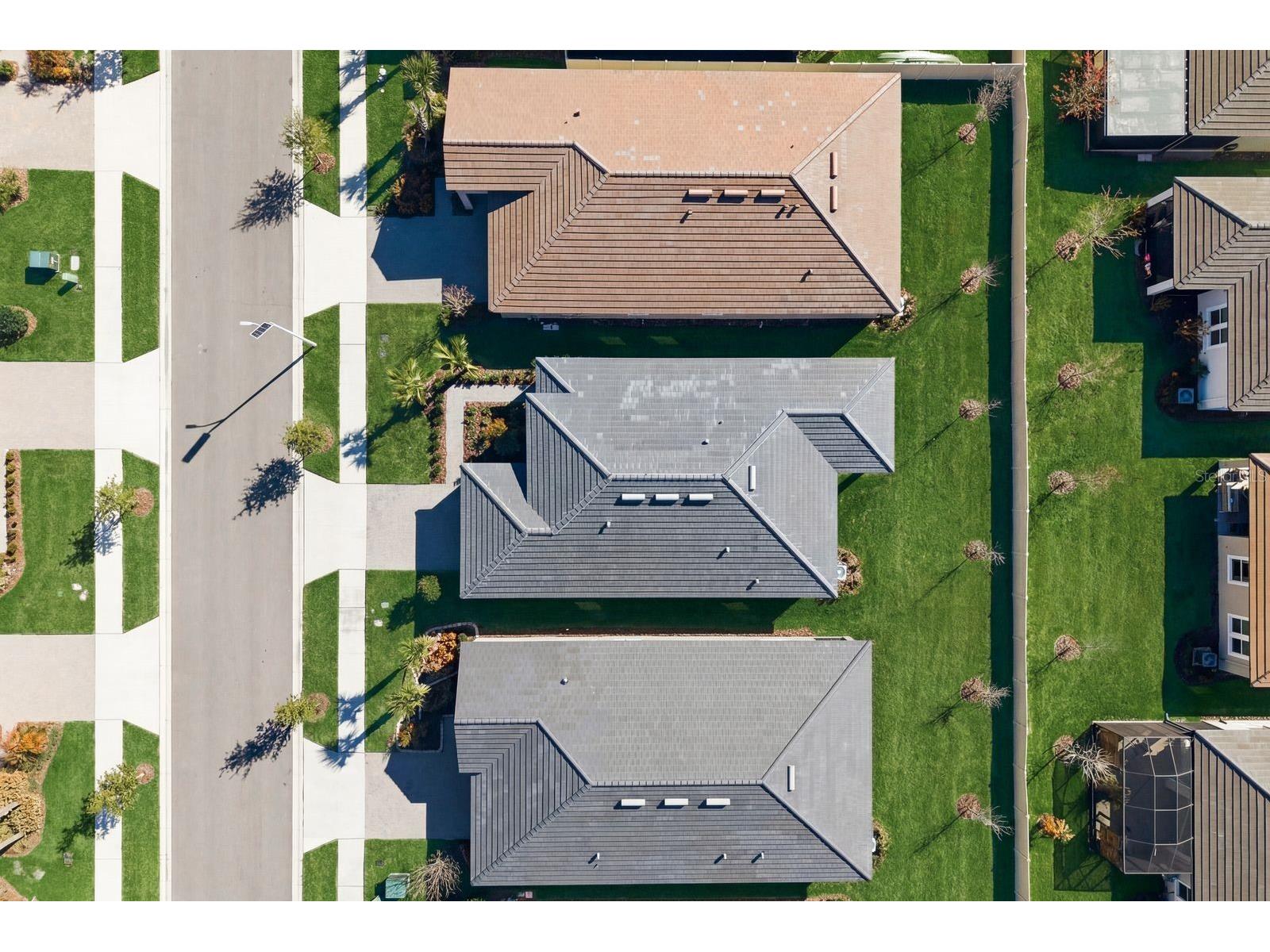 10661 Tupper Cay Drive San Antonio FL 33576 TB8472650 image37
