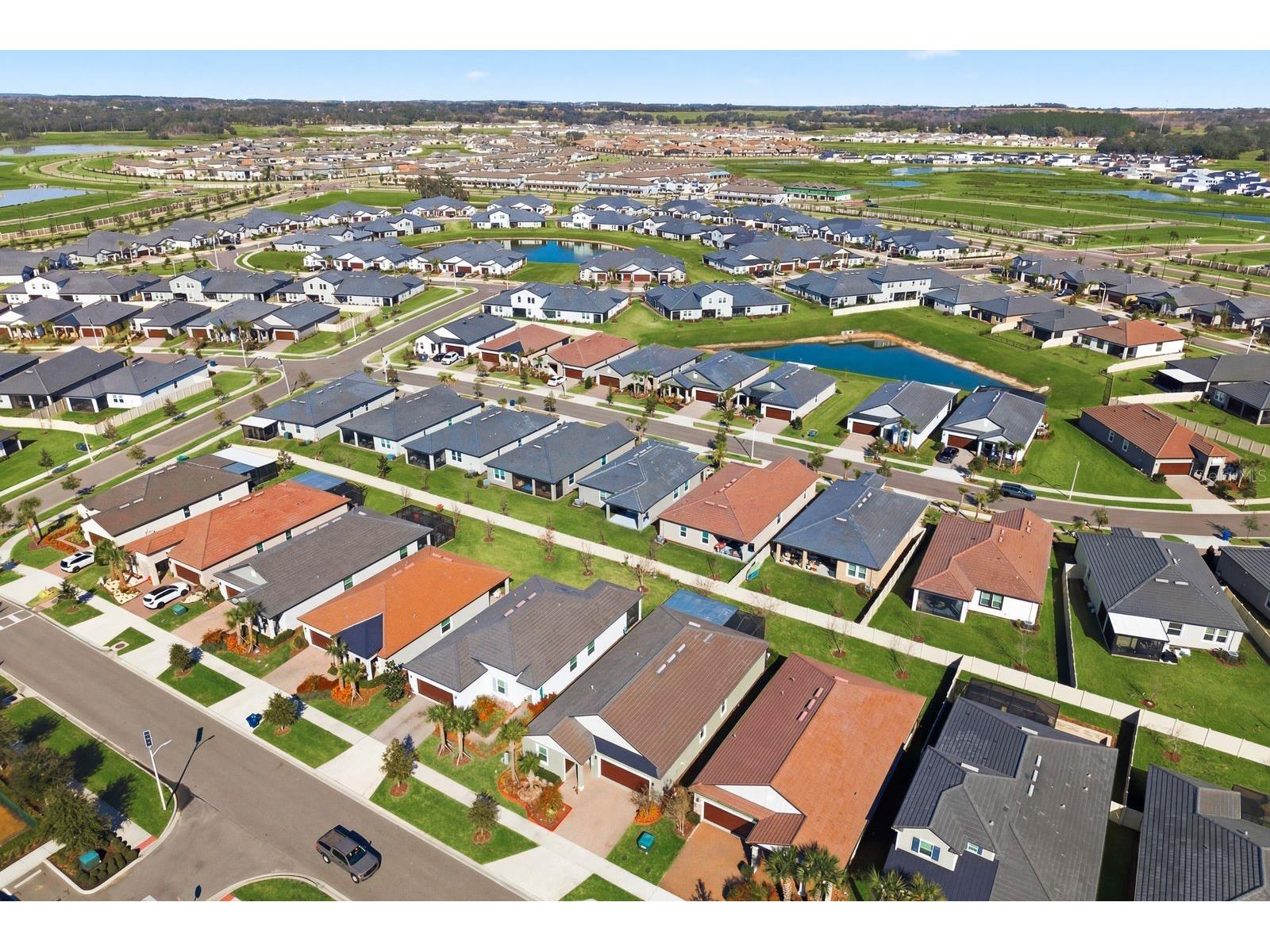 10661 Tupper Cay Drive San Antonio FL 33576 TB8472650 image38