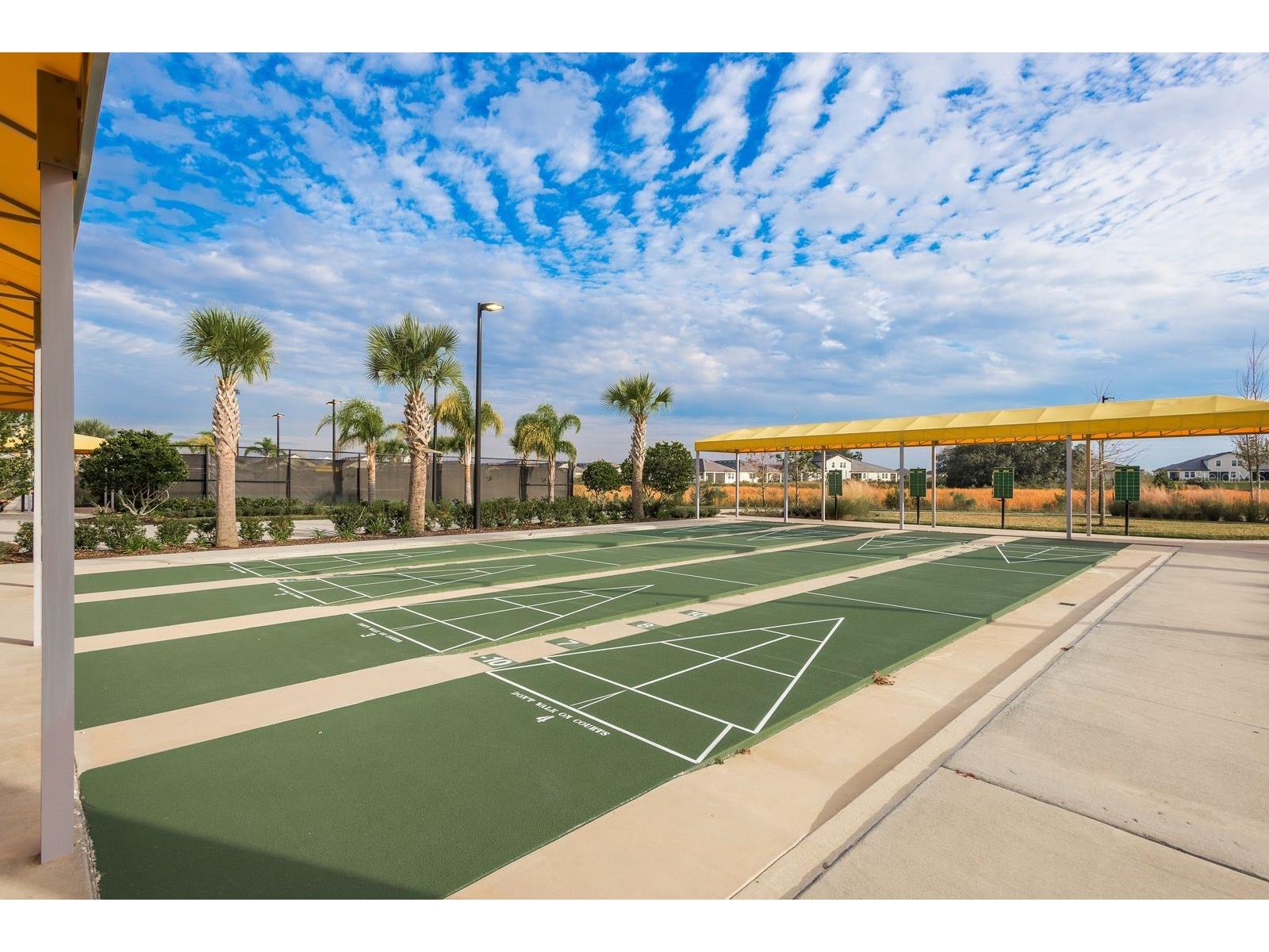 10661 Tupper Cay Drive San Antonio FL 33576 TB8472650 image49