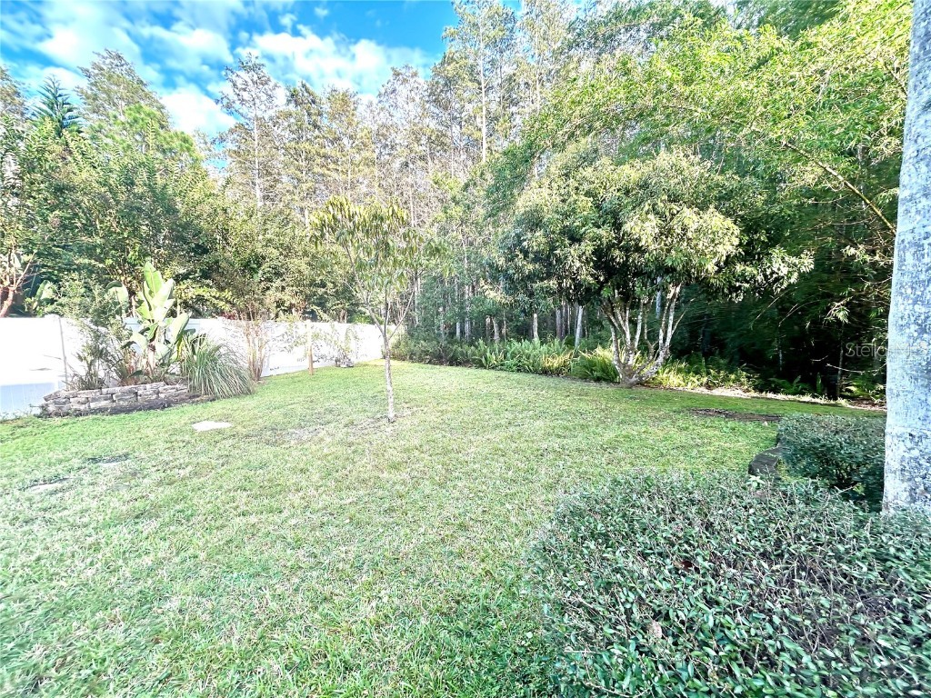 10662 Crystal Springs Court Orlando FL 32825 O6350254 image52