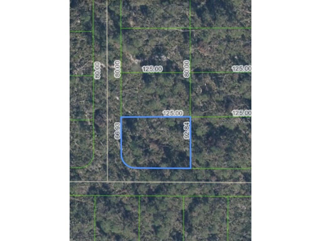 10662 Deep Hazard Drive Sebring FL 33875 O6236497 image1