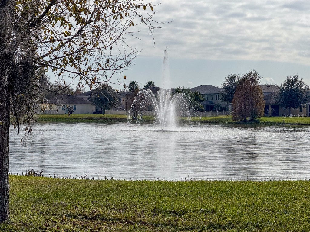 10663 Pictorial Park Drive Tampa FL 33647 TB8461064 image20