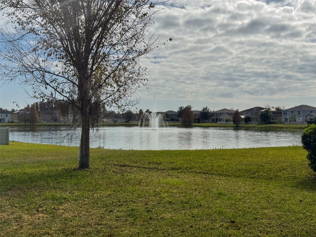 10663 Pictorial Park Drive Tampa FL 33647 TB8461064 image21