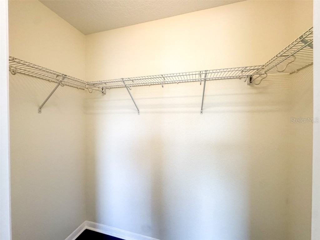 10663 Pictorial Park Drive Tampa FL 33647 TB8461064 image34