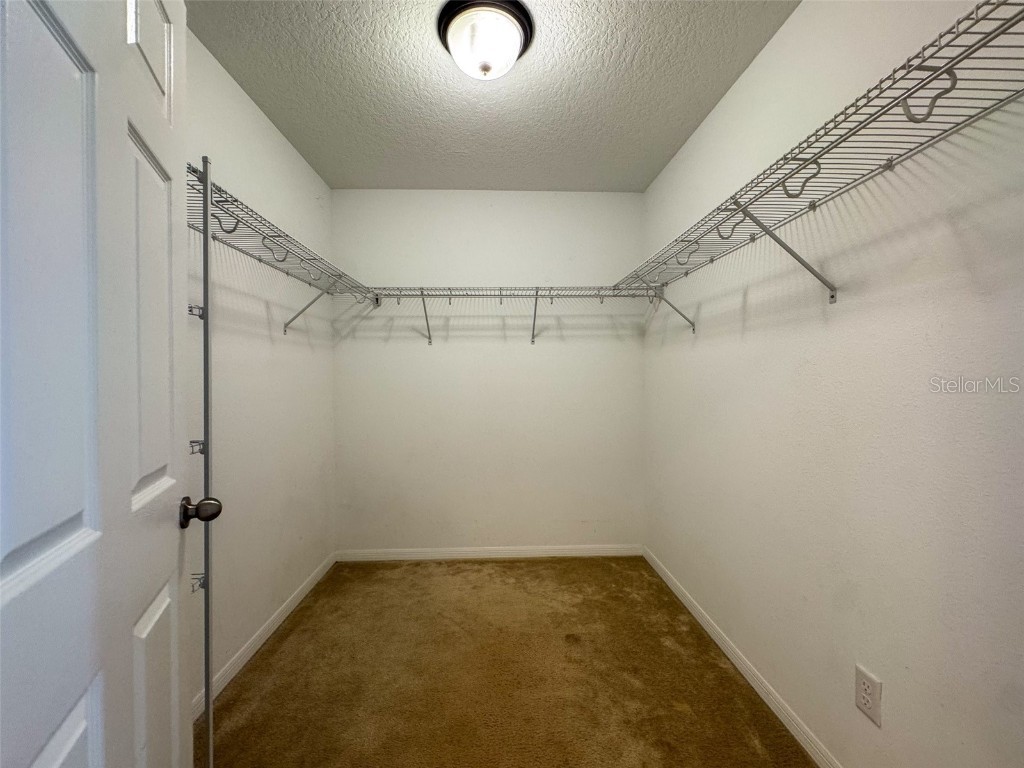 10663 Pictorial Park Drive Tampa FL 33647 TB8461064 image40