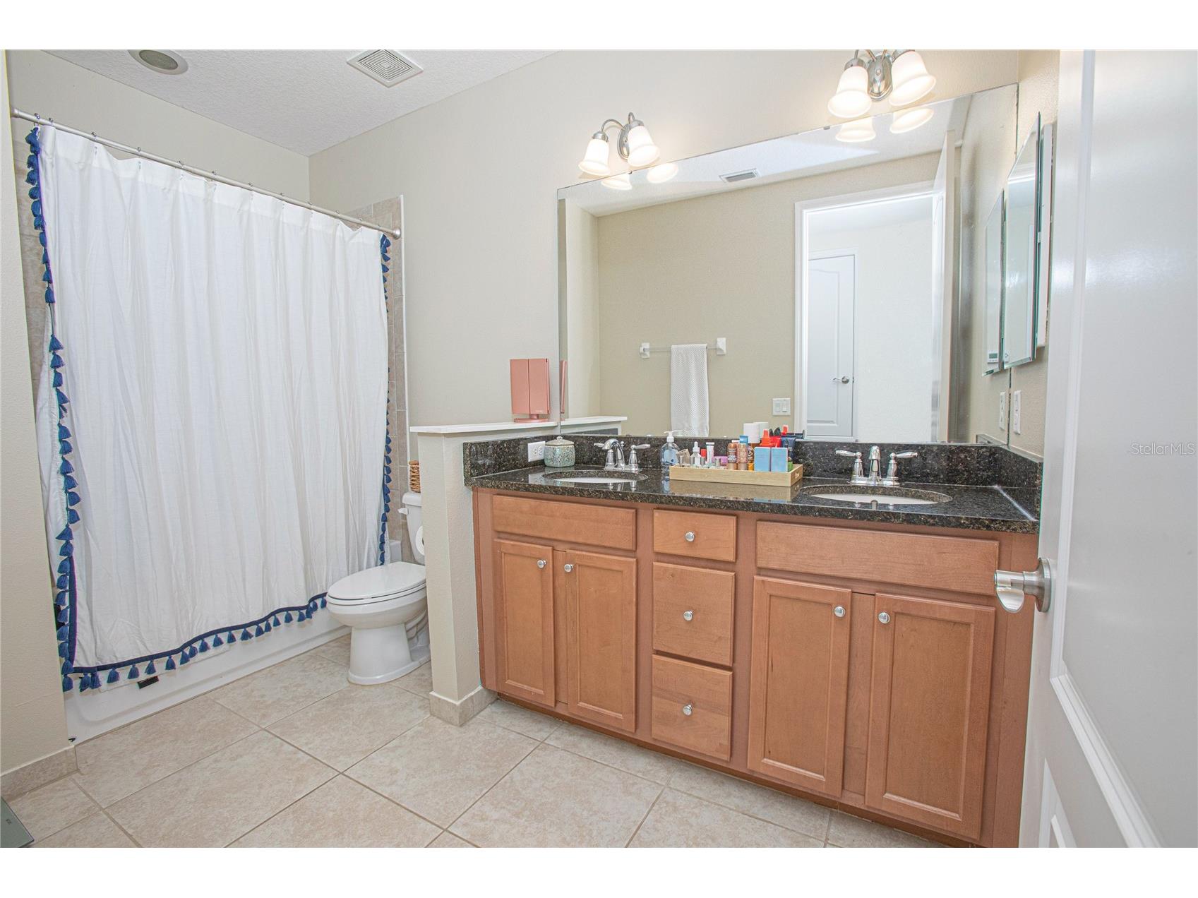 10665 Belfry Circle Orlando FL 32832 O6399082 image8