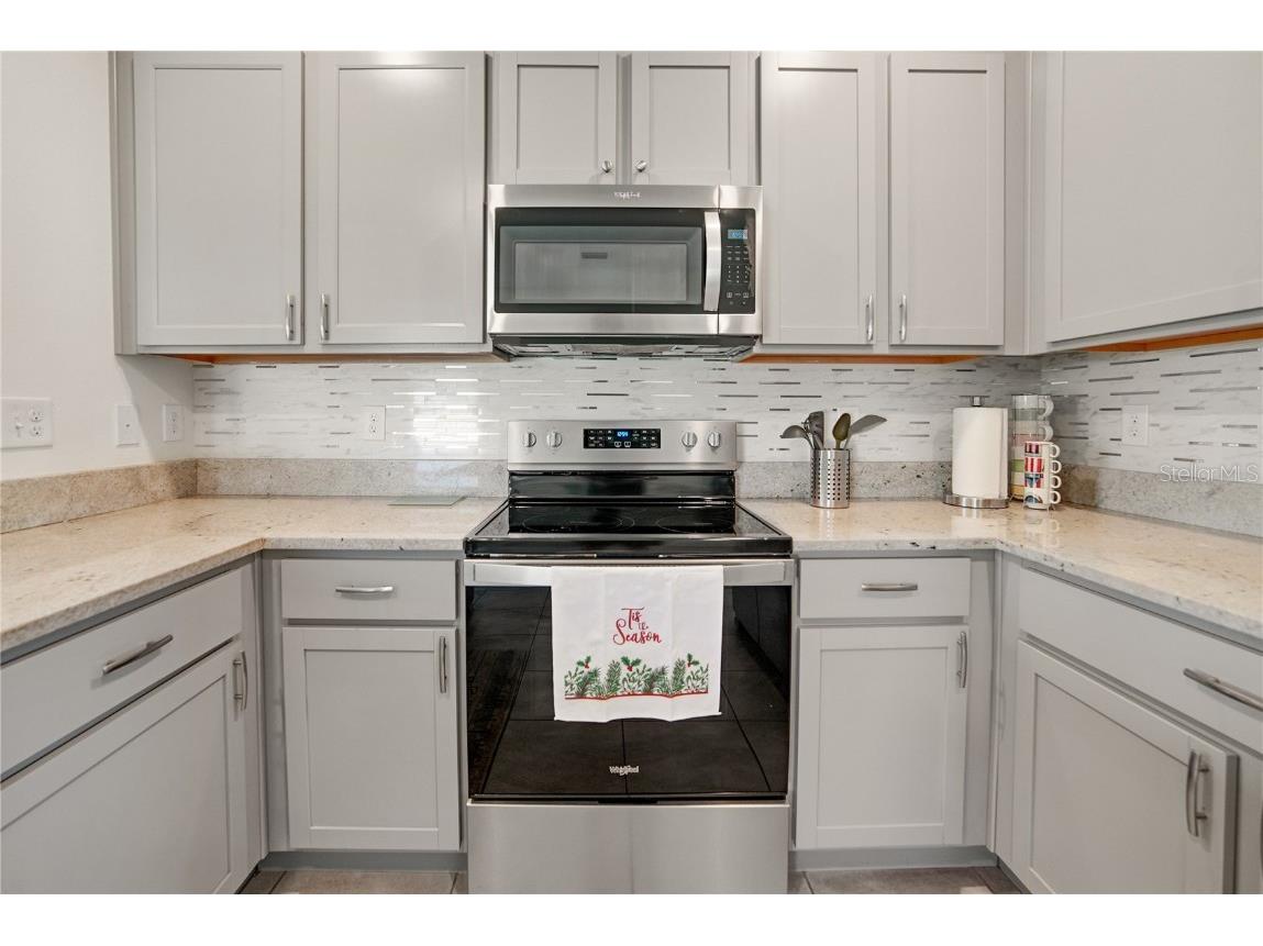 10665 Penny Gale Loop San Antonio FL 33576 TB8418713 image12