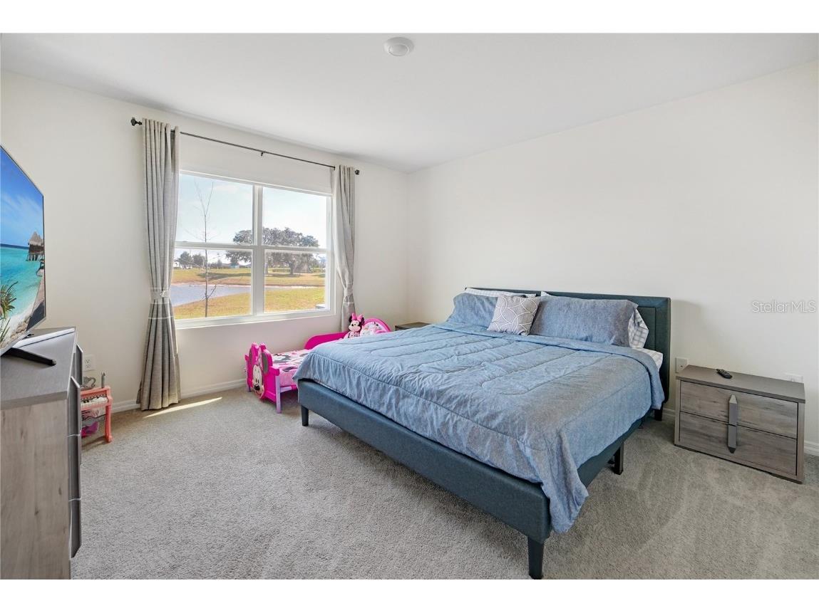 10665 Penny Gale Loop San Antonio FL 33576 TB8418713 image13