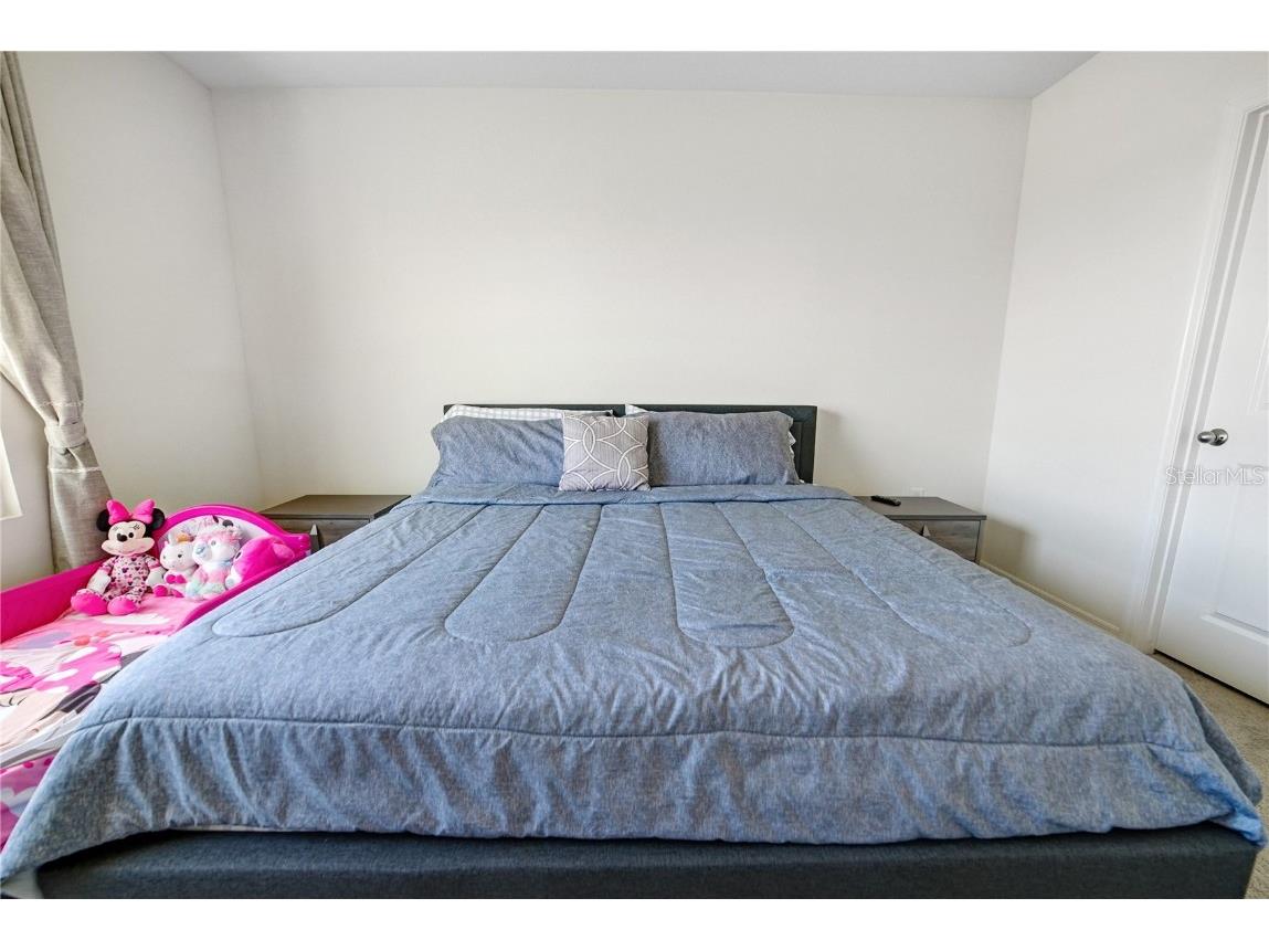 10665 Penny Gale Loop San Antonio FL 33576 TB8418713 image14