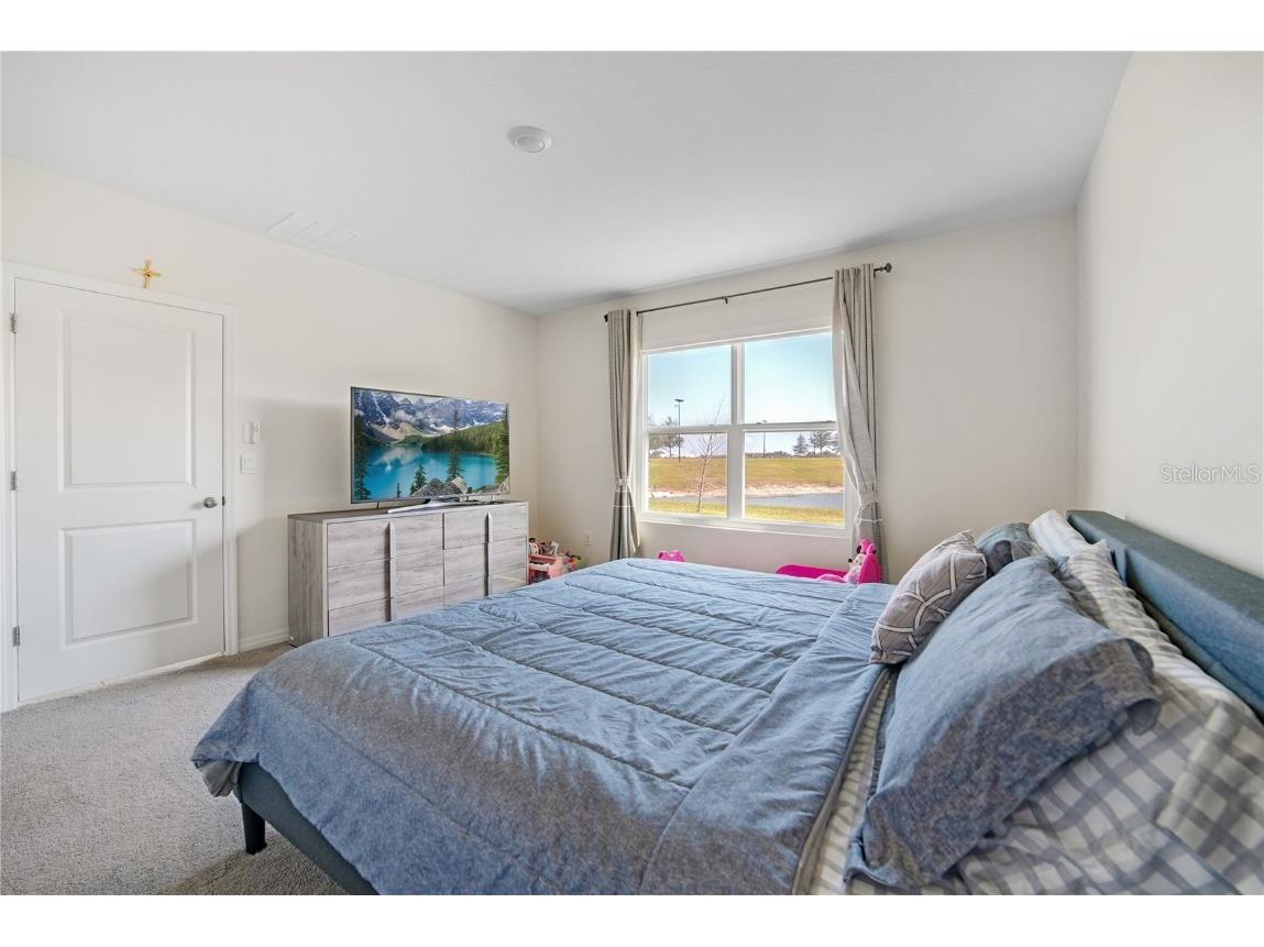 10665 Penny Gale Loop San Antonio FL 33576 TB8418713 image16