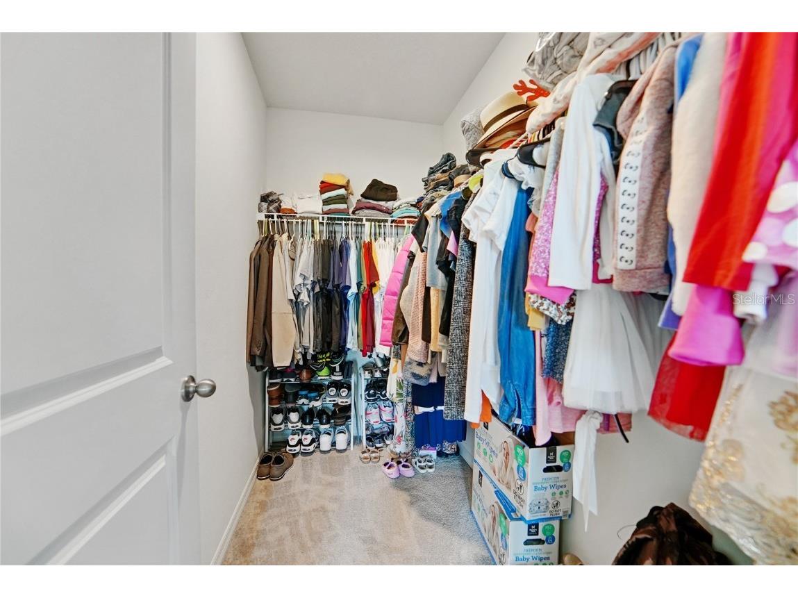 10665 Penny Gale Loop San Antonio FL 33576 TB8418713 image17