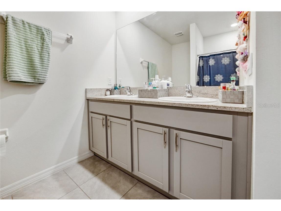 10665 Penny Gale Loop San Antonio FL 33576 TB8418713 image18