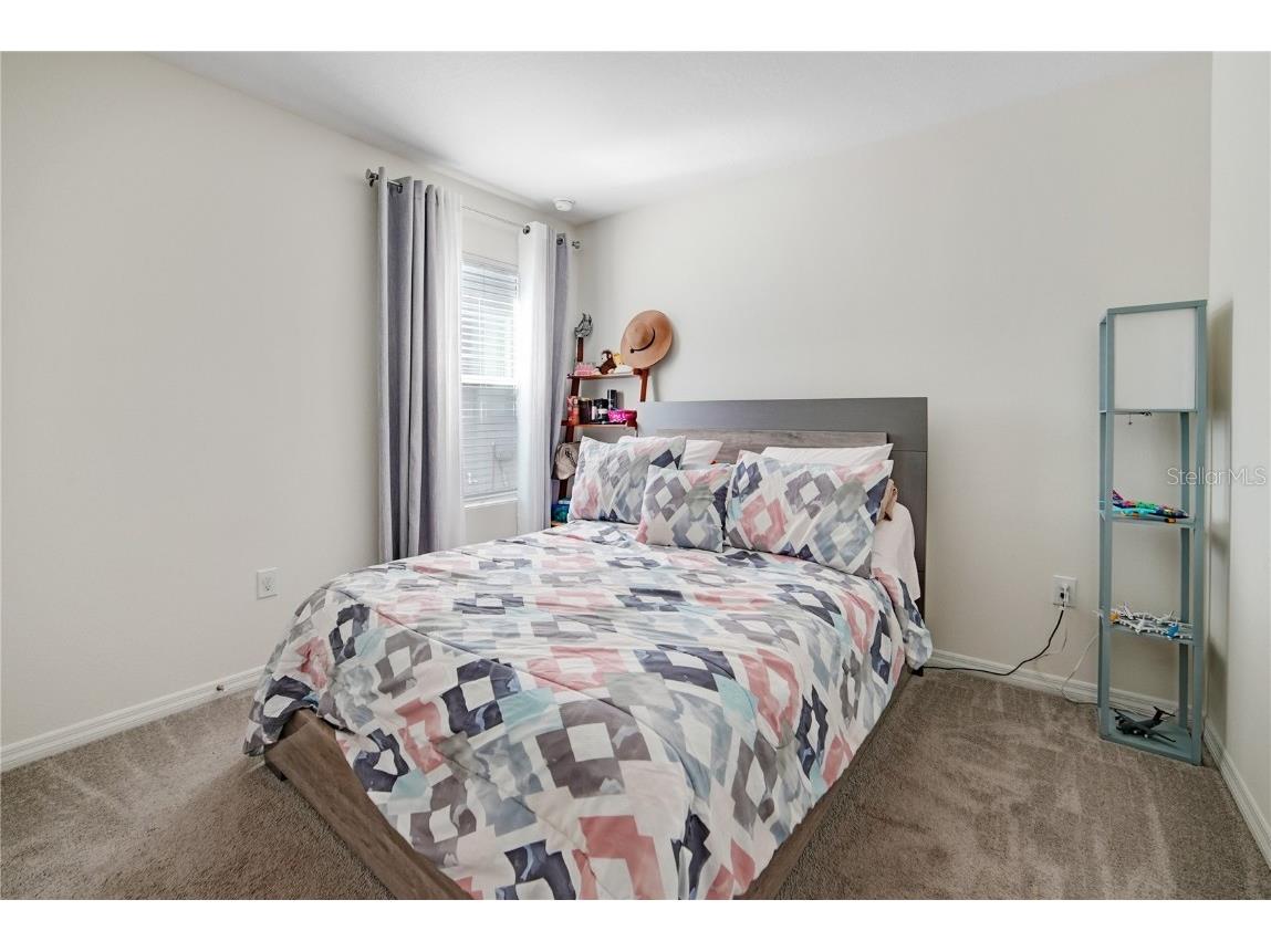 10665 Penny Gale Loop San Antonio FL 33576 TB8418713 image24