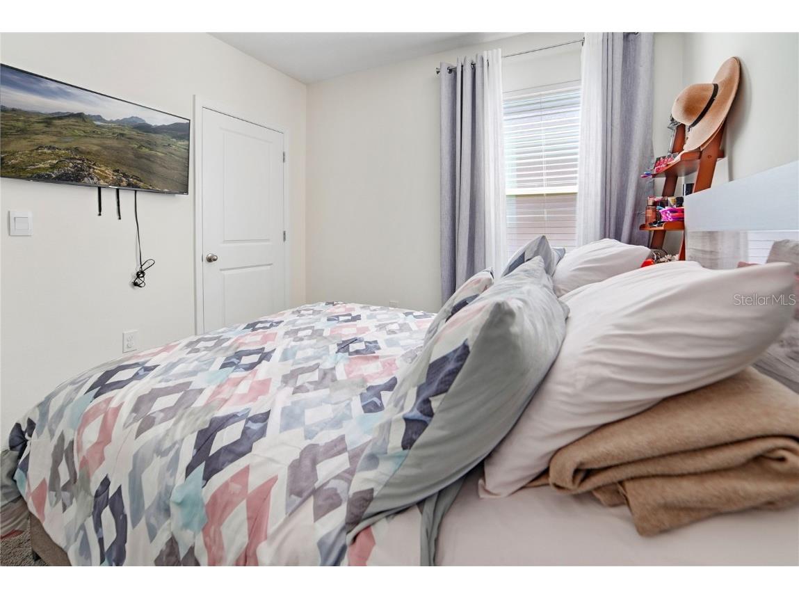 10665 Penny Gale Loop San Antonio FL 33576 TB8418713 image27