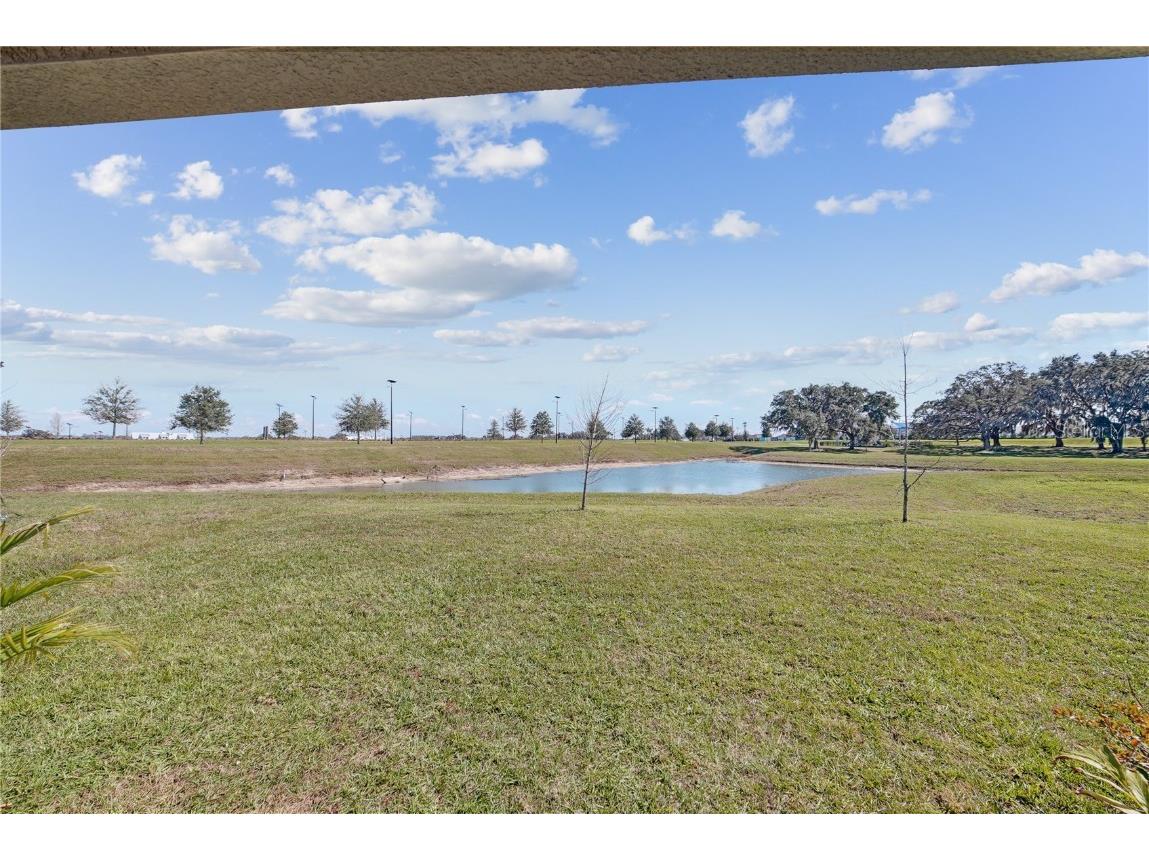 10665 Penny Gale Loop San Antonio FL 33576 TB8418713 image31