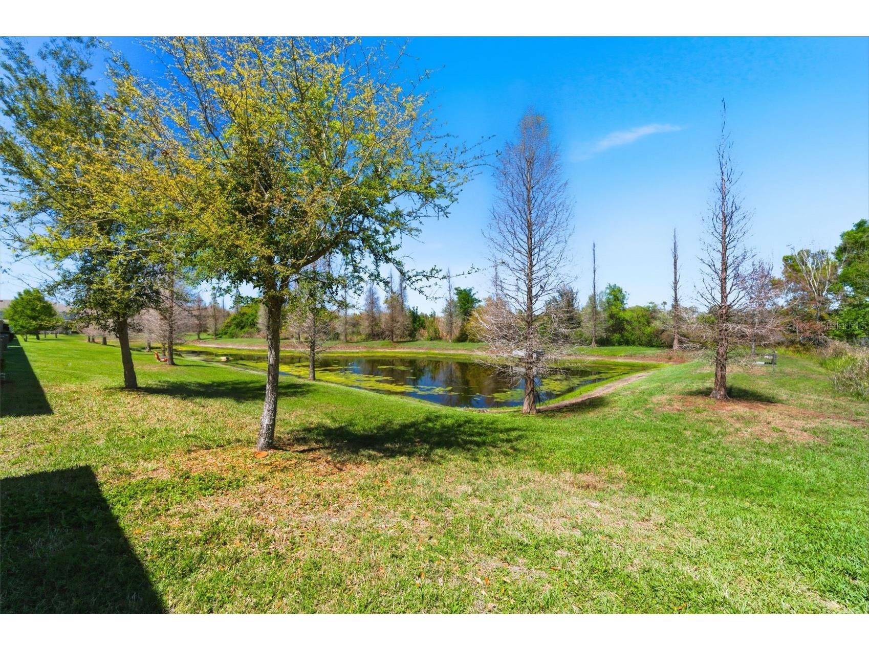 10668 Lake Montauk Drive Riverview FL 33578 TB8487796 image36