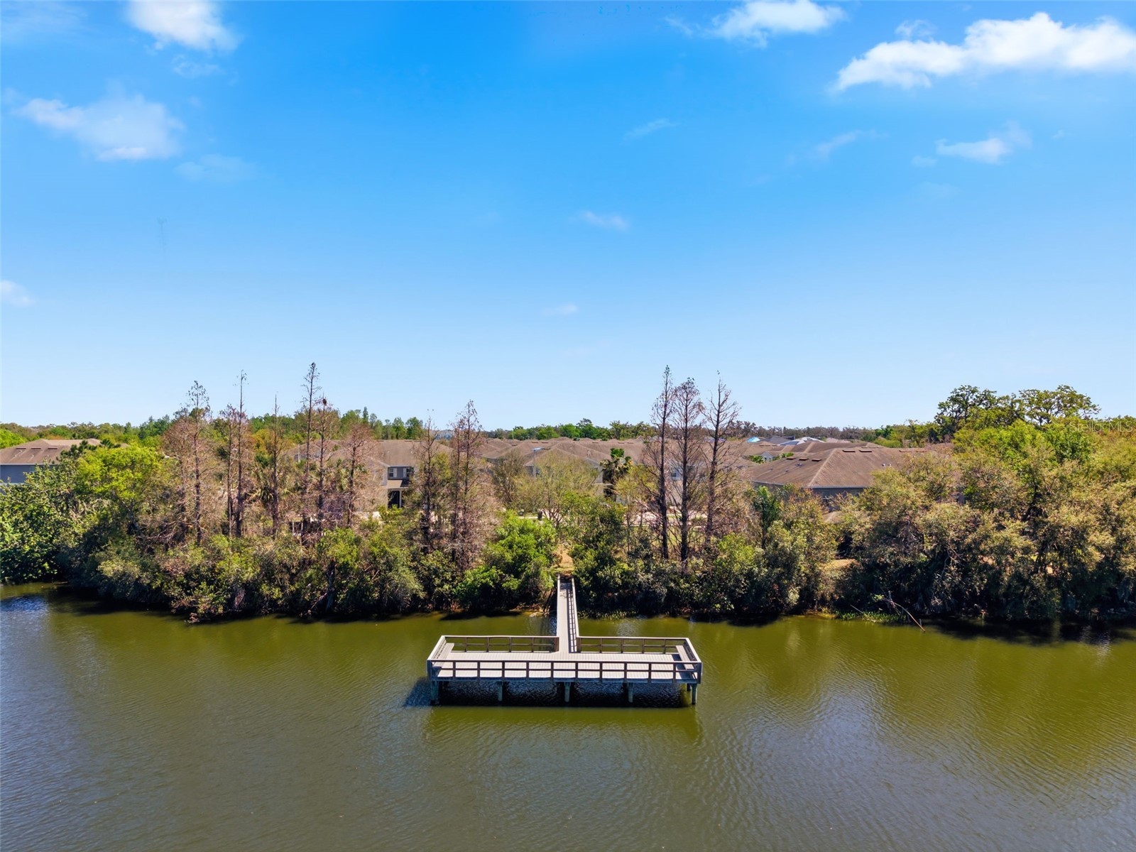 10668 Lake Montauk Drive Riverview FL 33578 TB8487796 image45