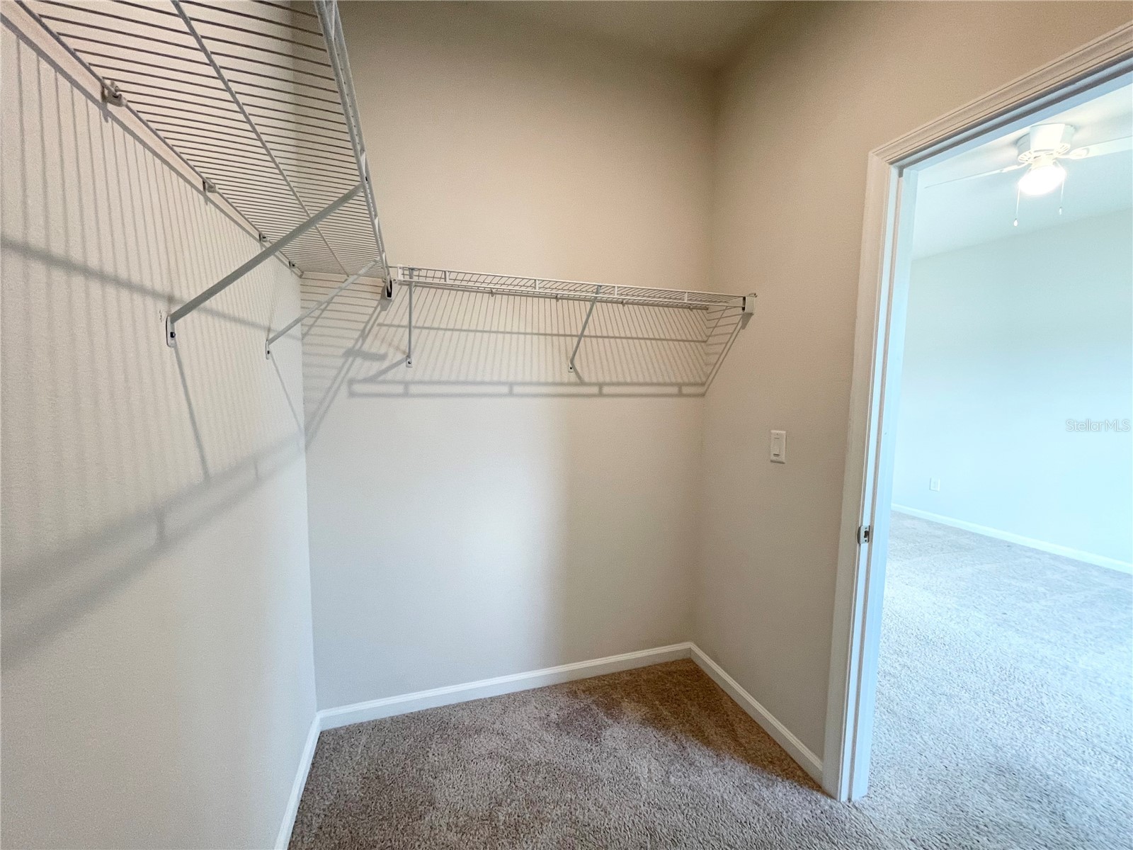 10668 Old Sycamore Loop Land O Lakes FL 34638 TB8521013 image15