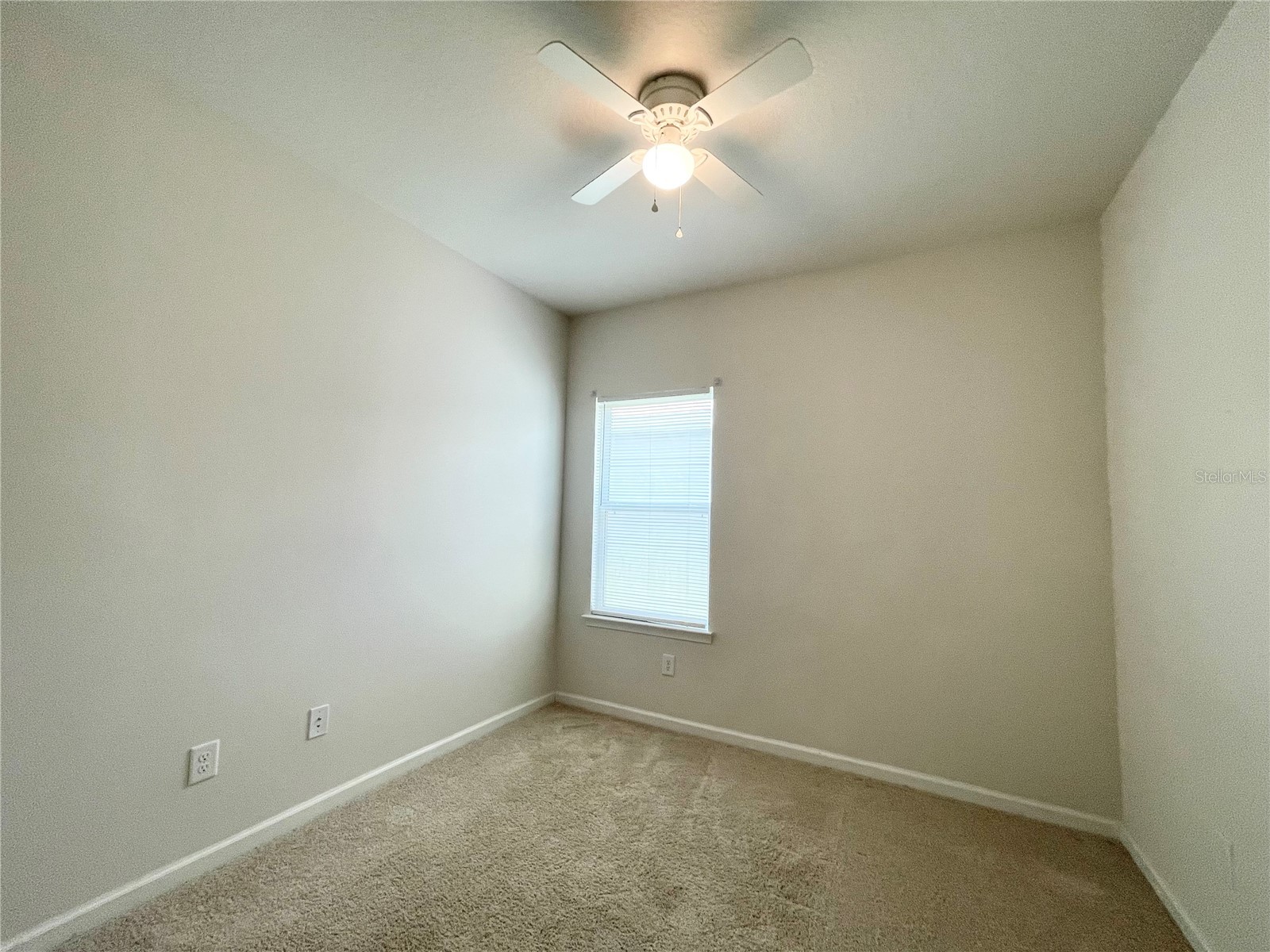 10668 Old Sycamore Loop Land O Lakes FL 34638 TB8521013 image27