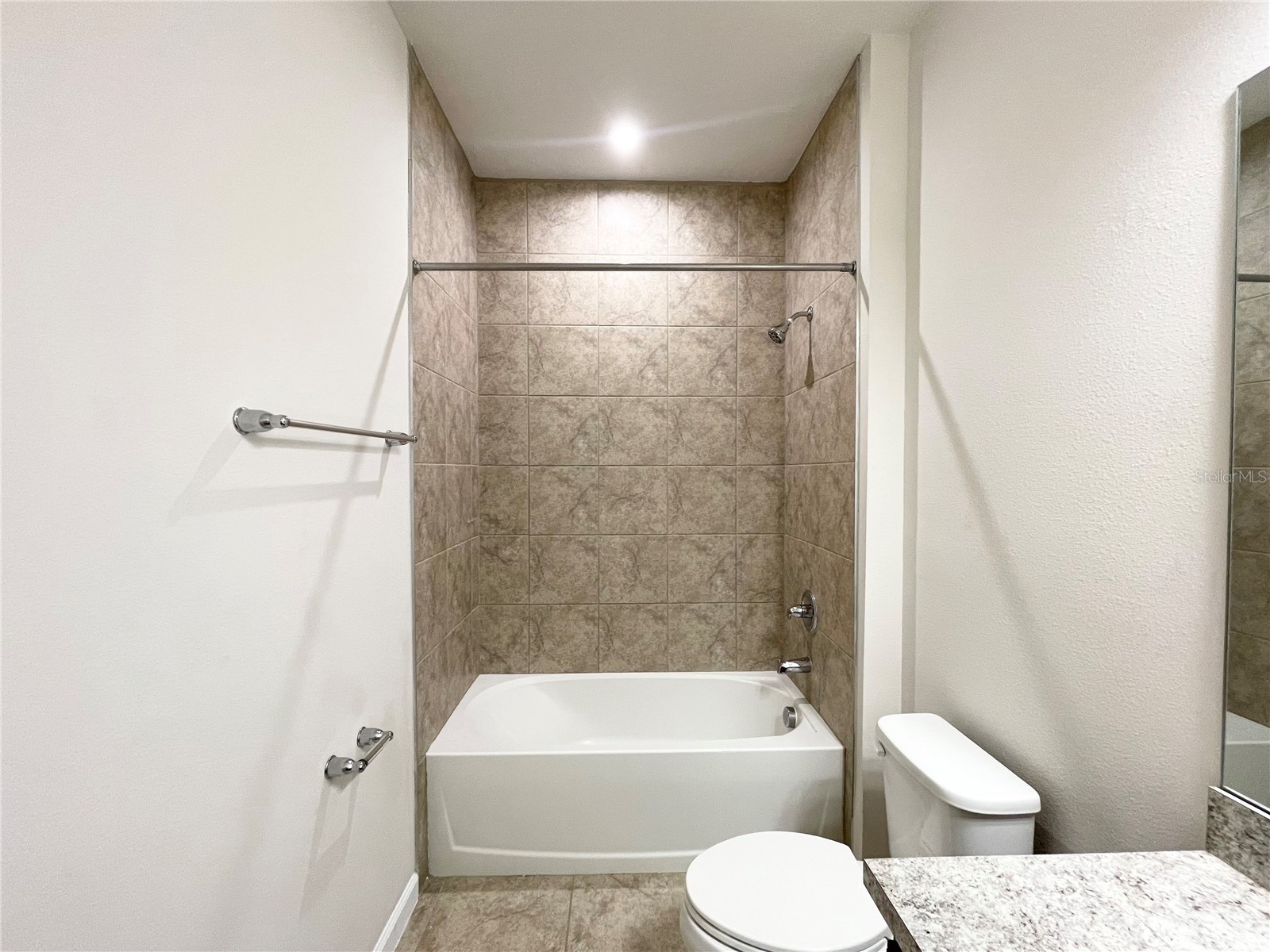 10668 Old Sycamore Loop Land O Lakes FL 34638 TB8521013 image29