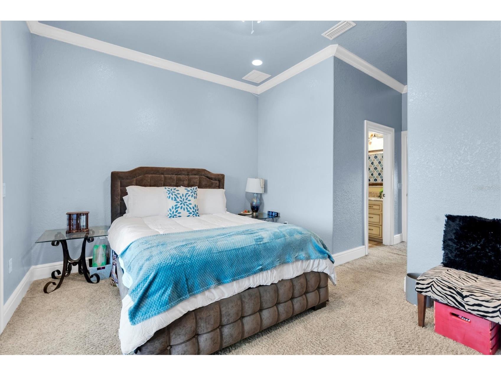 1067 Ashland Avenue Tarpon Springs FL 34689 TB8506106 image46