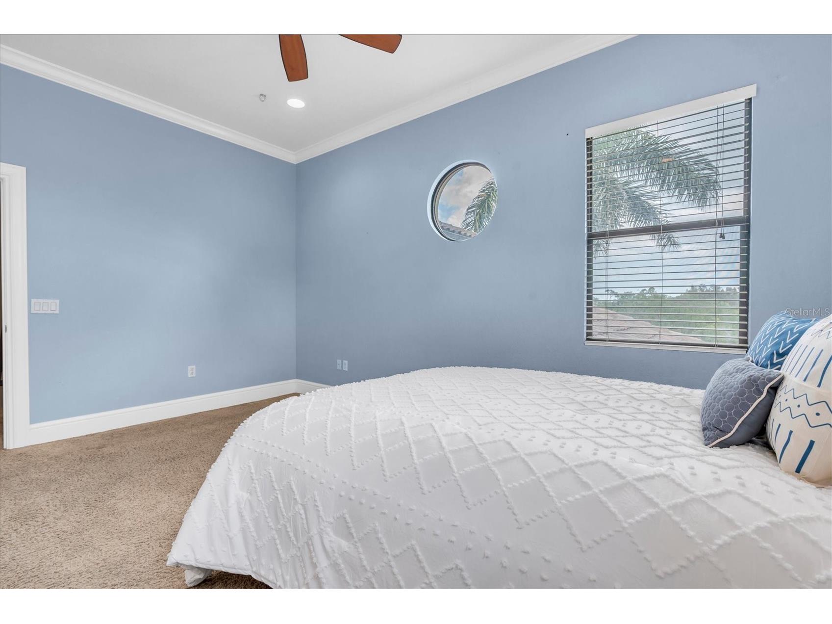 1067 Ashland Avenue Tarpon Springs FL 34689 TB8506106 image51