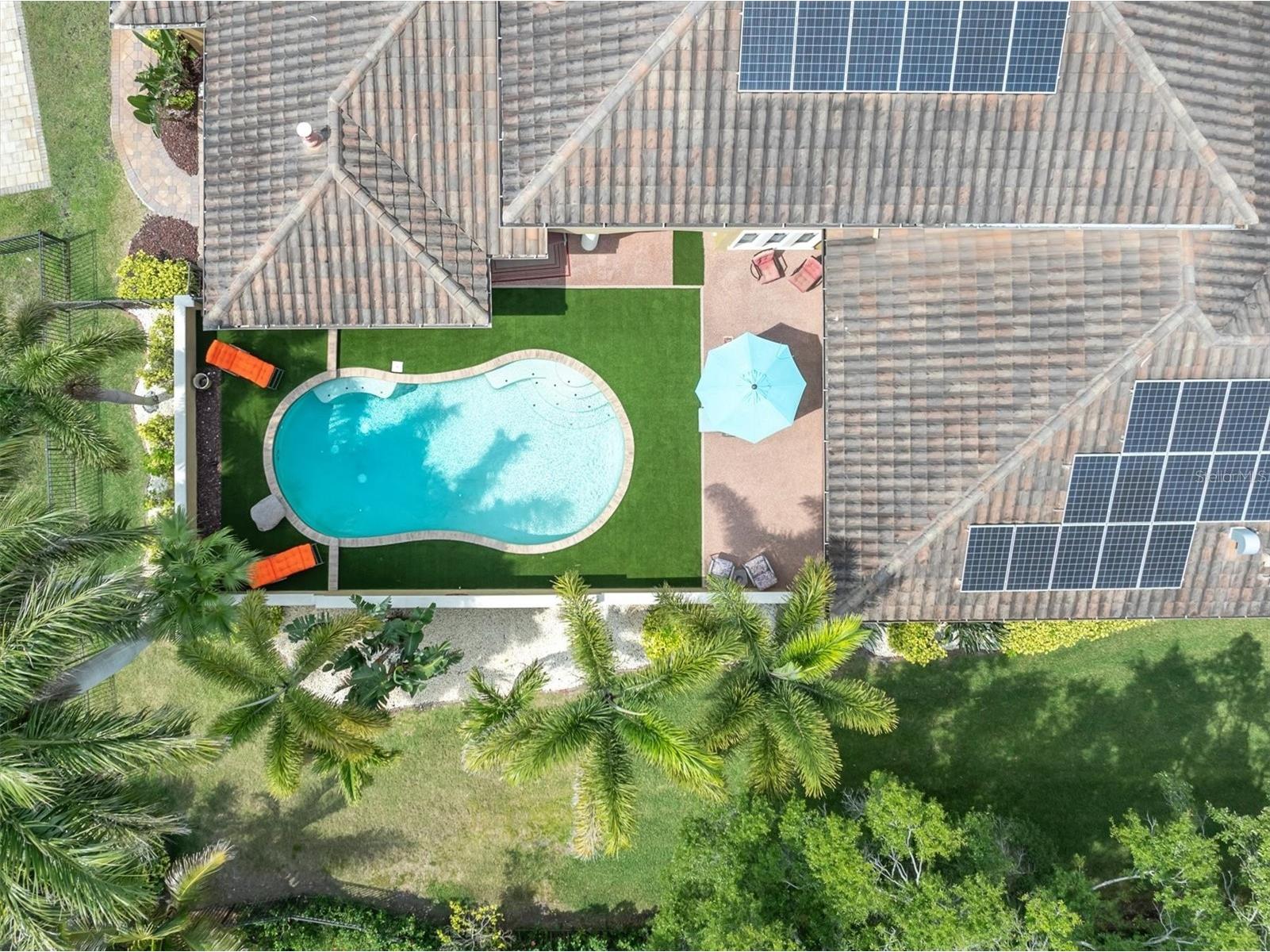 1067 Ashland Avenue Tarpon Springs FL 34689 TB8506106 image79