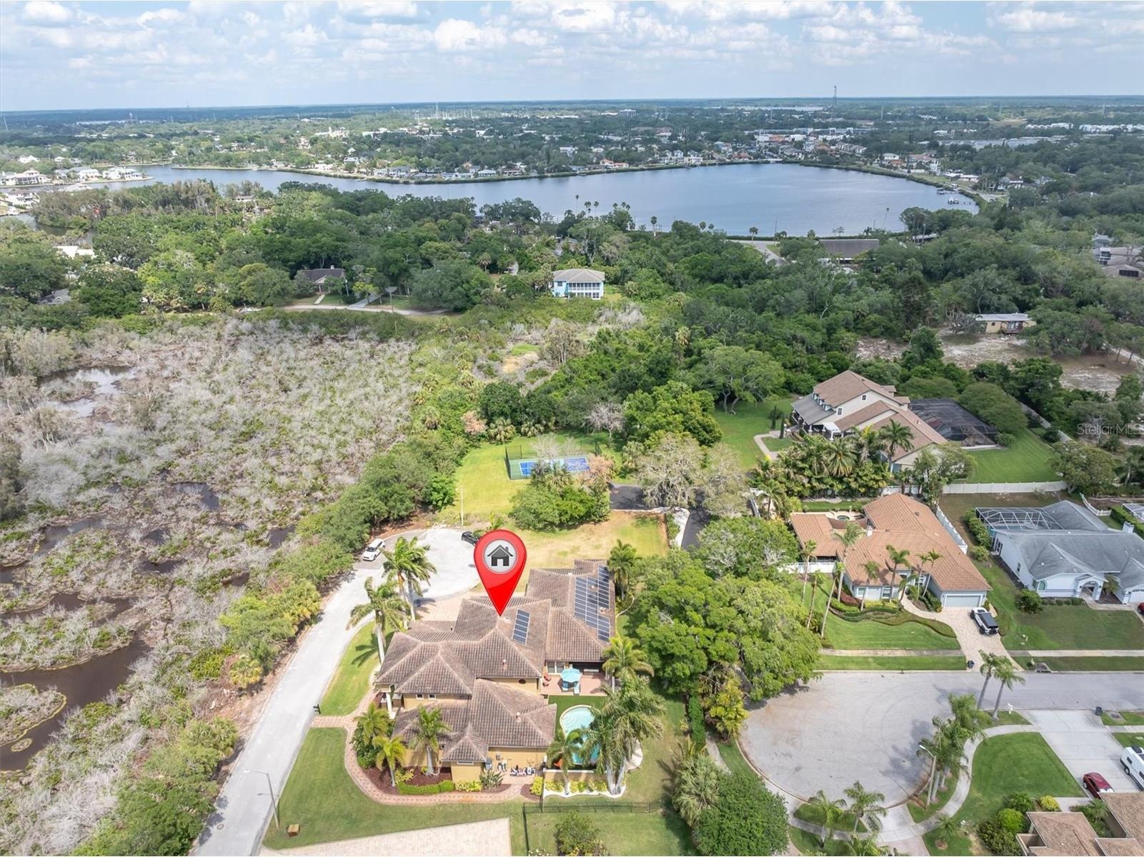 1067 Ashland Avenue Tarpon Springs FL 34689 TB8506106 image80
