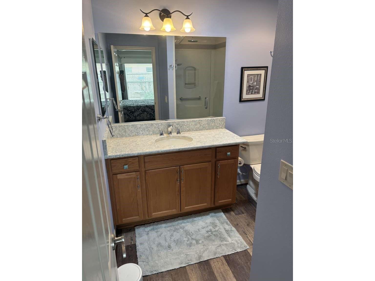 1067 Carver Court The Villages FL 32163 TB8448232 image28