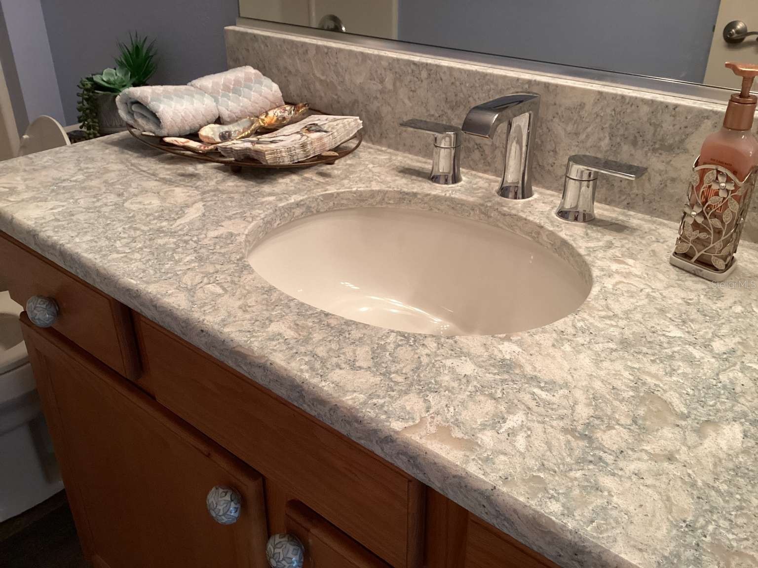 1067 Carver Court The Villages FL 32163 TB8448232 image33