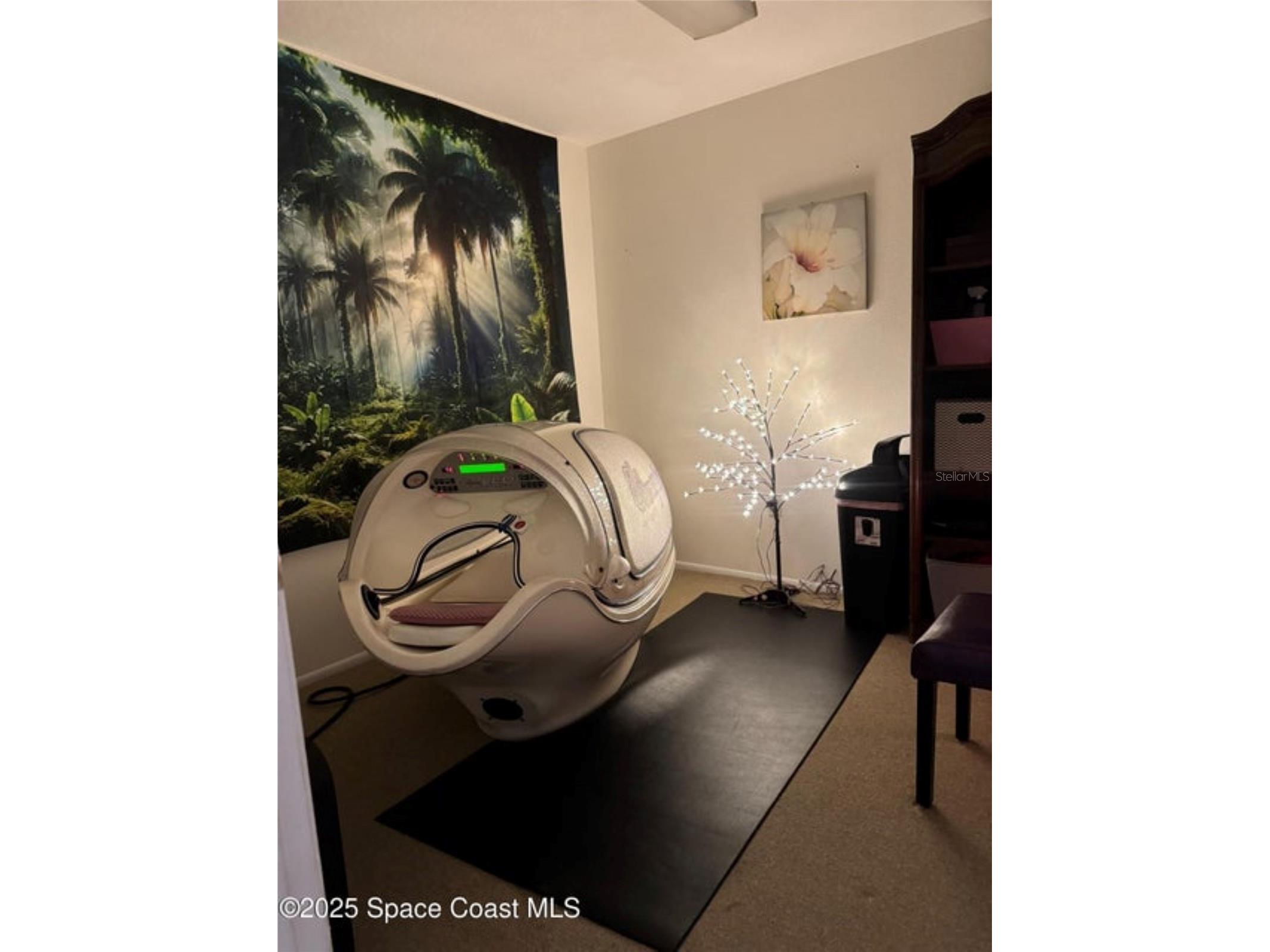 1067 Cheney Highway #8 Titusville FL 32780 O6339453 image7