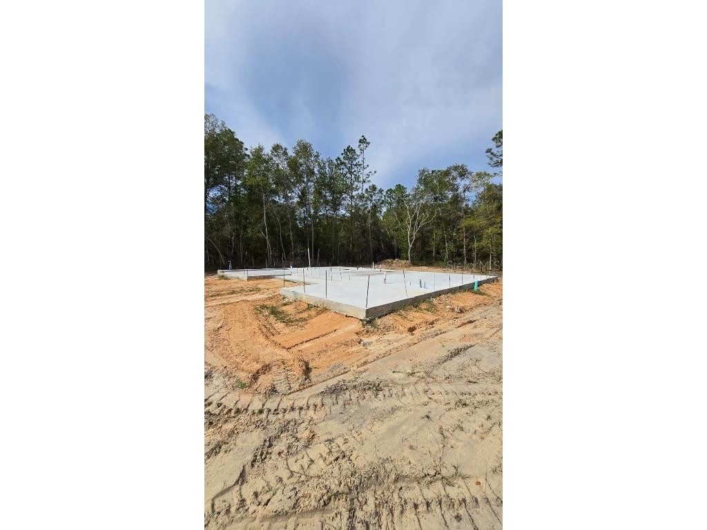 1067 W Geneva Place Citrus Springs FL 34434 O6362661 image8