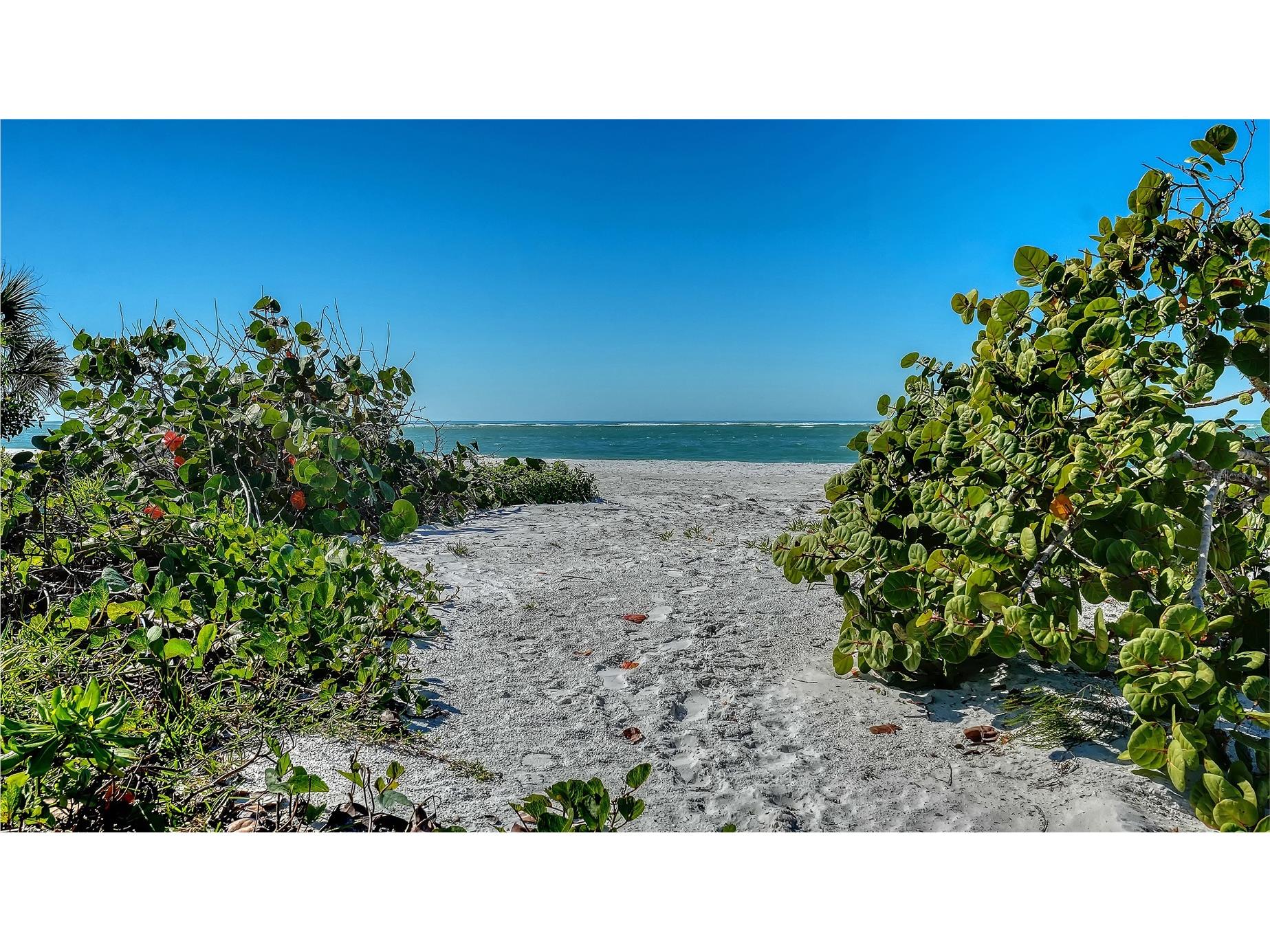 1067 Westway Drive Sarasota FL 34236 A4680843 image66